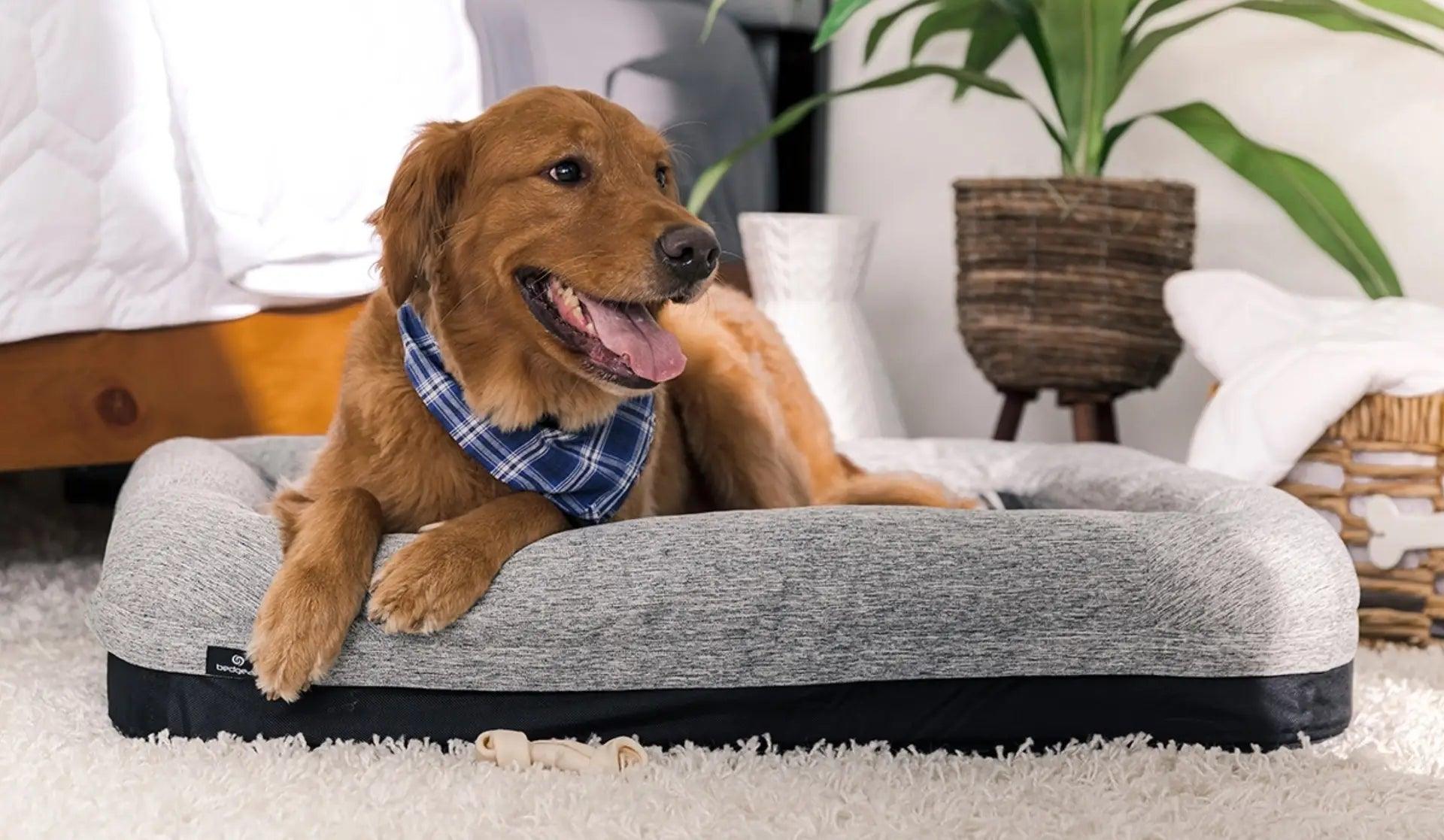 Bedgear Small Performance Dog Bed - Cooling & Supportive Orthopedic Pet Bed for Small Dogs - Perfect for Crates, Travel & Home Use