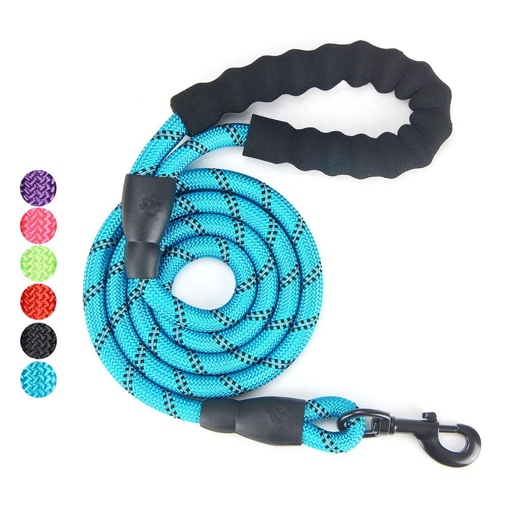 **5 FT Reflective Dog Leash, Adjustable Car Seat Belt & Collapsible Pet Bowl – Gift Set for Walking, Travel, Hiking & Camping – Perfect for Outdoor Adventures & Road Trips (Blue)**