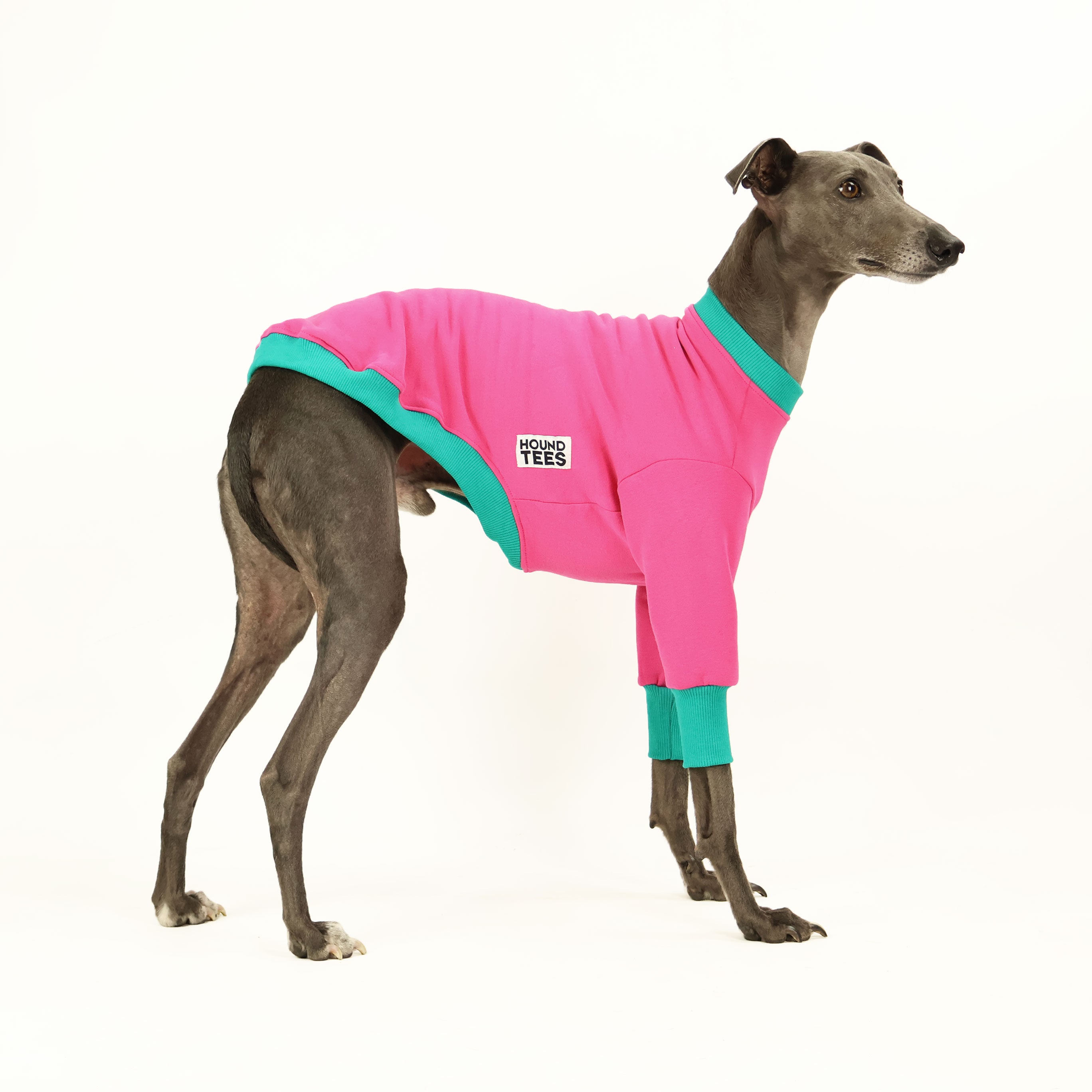 Blep Whippet Sweater for Dogs - Cute & Comfortable Knit Dog Sweater - Perfect for Small & Medium Breeds - Winter Warmth & Stylish Outfits for Pets