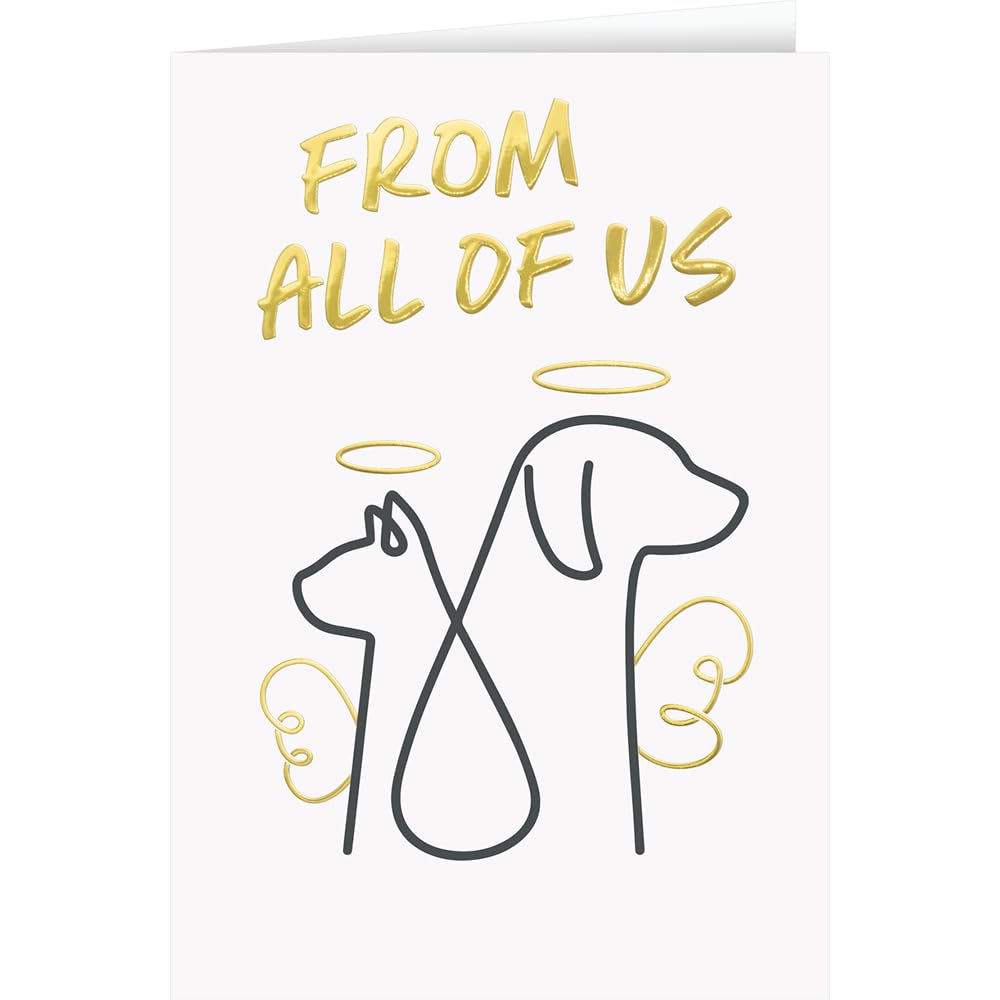 25 Personalized Pet Sympathy Cards with Foil-Lined Envelopes (Angel Wings Design) - Bulk Greeting Cards for Pet Loss, Dog & Cat Memorial - Perfect for Pet Owners, Veterinarians & Animal Lovers (Home, Office or Funeral Use)