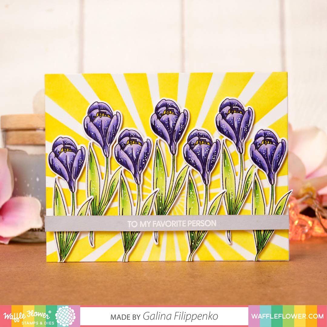 Waffle Flower Sunburst Stencil - DIY Scrapbooking & Card Making Template for Arts & Crafts Projects
