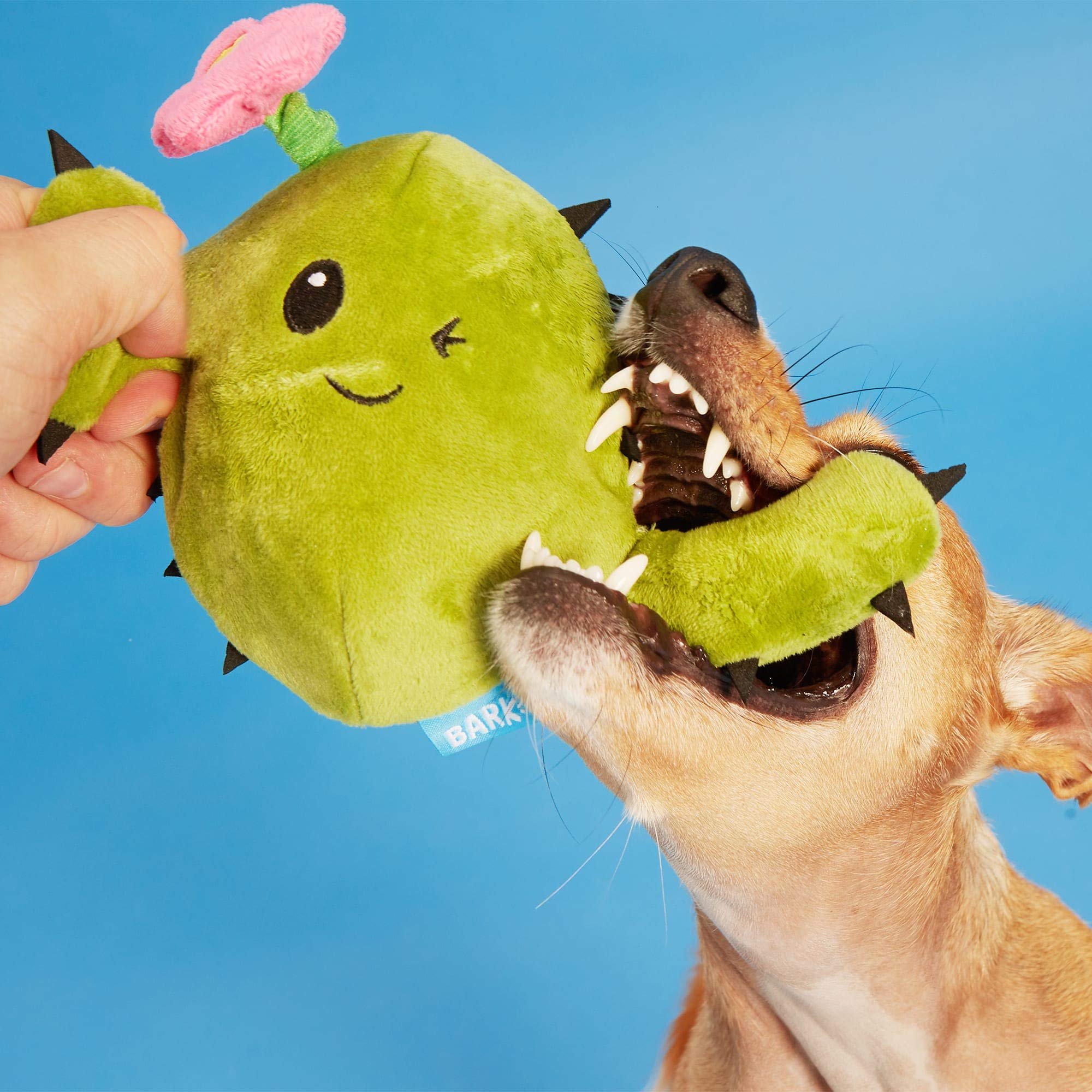 BARK Consuela The Cactus Dog Toy - Medium Size Chew Toy for Small to Medium Dogs, Durable & Fun Pet Toy for Indoor & Outdoor Play