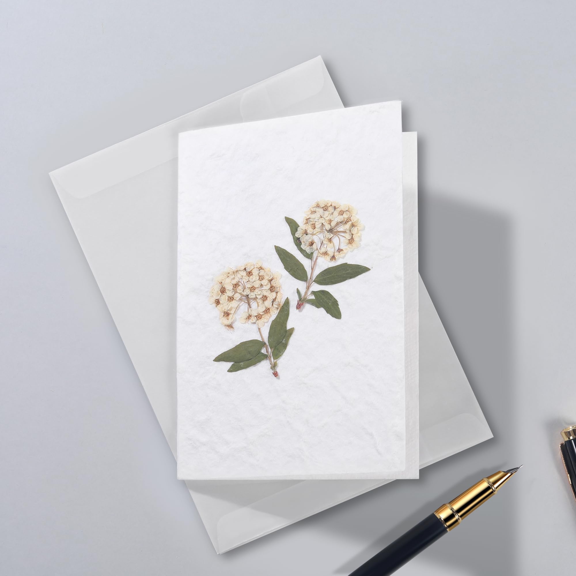 Handmade Daffodil Flower Notecard Set - Real Pressed Flowers, 4x6 Inch Greeting Cards with Envelopes | Perfect for Birthday, Mother's Day, Wedding & Thinking of You Gifts | Elegant Stationery for Special Occasions & Handwritten Notes