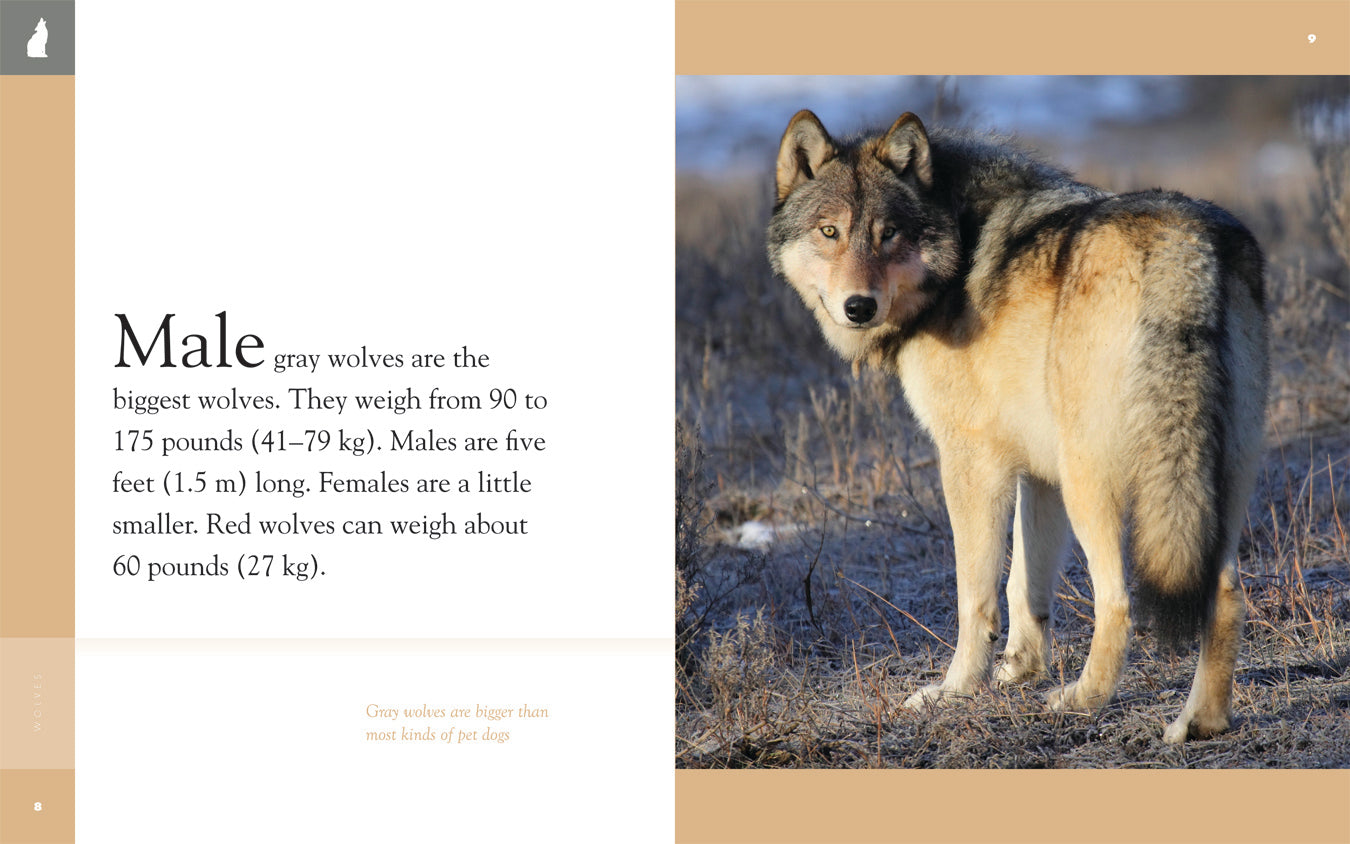 Amazing Animals (2014): Wolves - Educational Wildlife Documentary for Kids & Nature Lovers | Perfect for Classroom Learning & Family Movie Nights