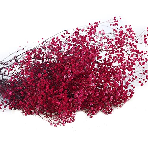 Rose Red