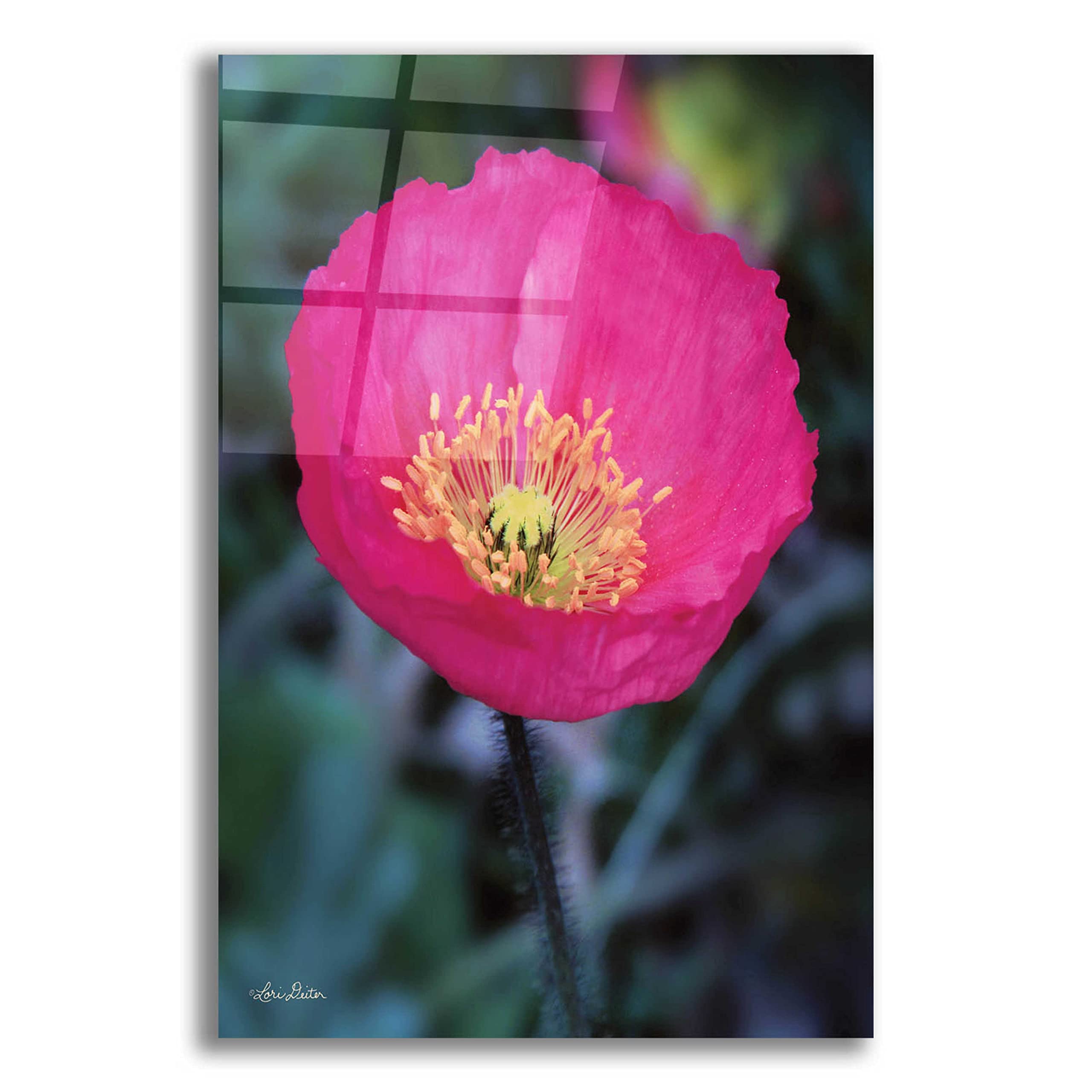 Floral Pop I by Lori Deiter - 16x24 Inch Vibrant Acrylic Glass Wall Art Decor for Living Room, Bedroom & Office | Modern Floral Painting for Home & Office Decoration