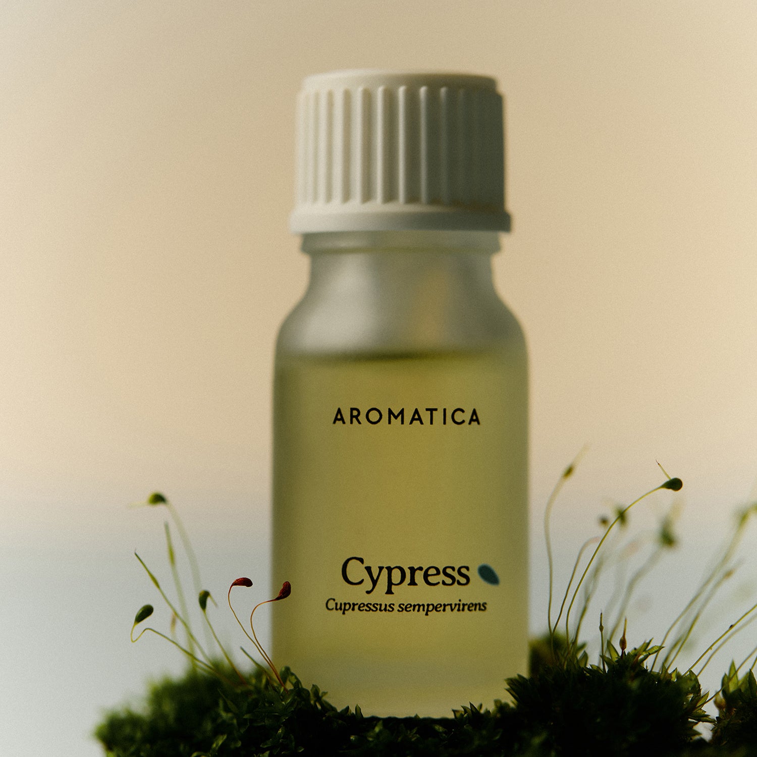 **AROMATICA 100% Pure Essential Oil Set - 4 Types (10ml Each) for Aromatherapy, Diffusers, Massage & Relaxation**