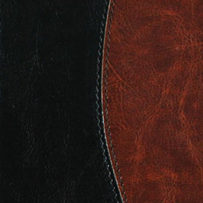 dual color