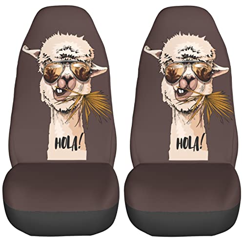 Funny Llama
