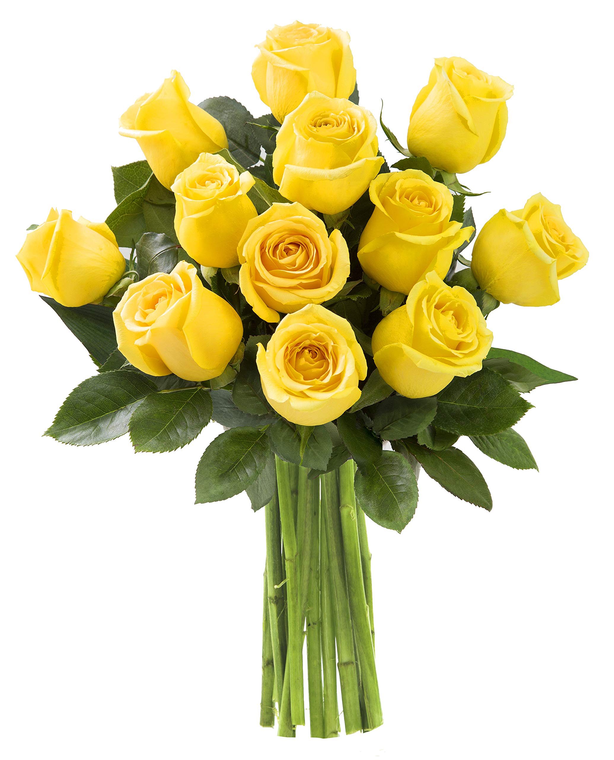 Fresh Yellow Roses Bouquet of 12 Stems - Premium Fall Collection Flowers for Birthday, Anniversary, Valentine's Day & Mother's Day Gifts - Next Day Delivery | Perfect for Home Decor, Wedding Centerpieces & Romantic Surprises