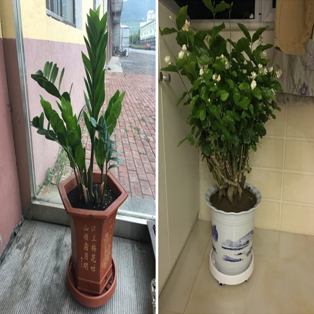 White Resin Flower Pot Tray with Concealed Pulley - 25CM Ultra-Low Chassis Plant Saucer for Indoor/Outdoor Plants - Perfect for Home Decor, Garden, and Balcony Use