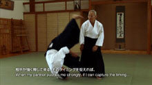 Seishiro Endo's Atari & Musubi DVD - Aikido Training & Martial Arts Techniques for Self-Defense and Spiritual Growth