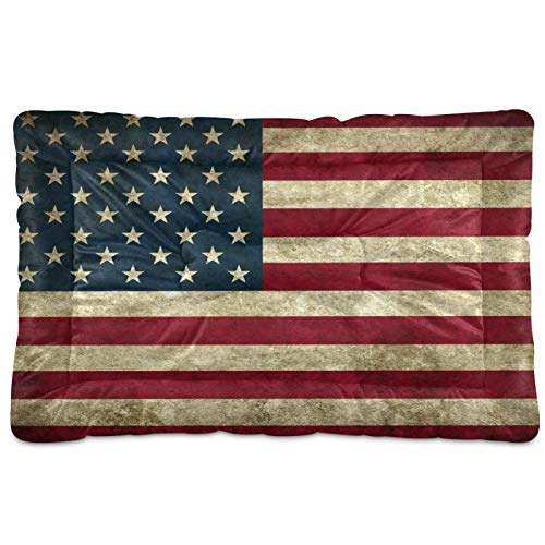Vintage American Flag