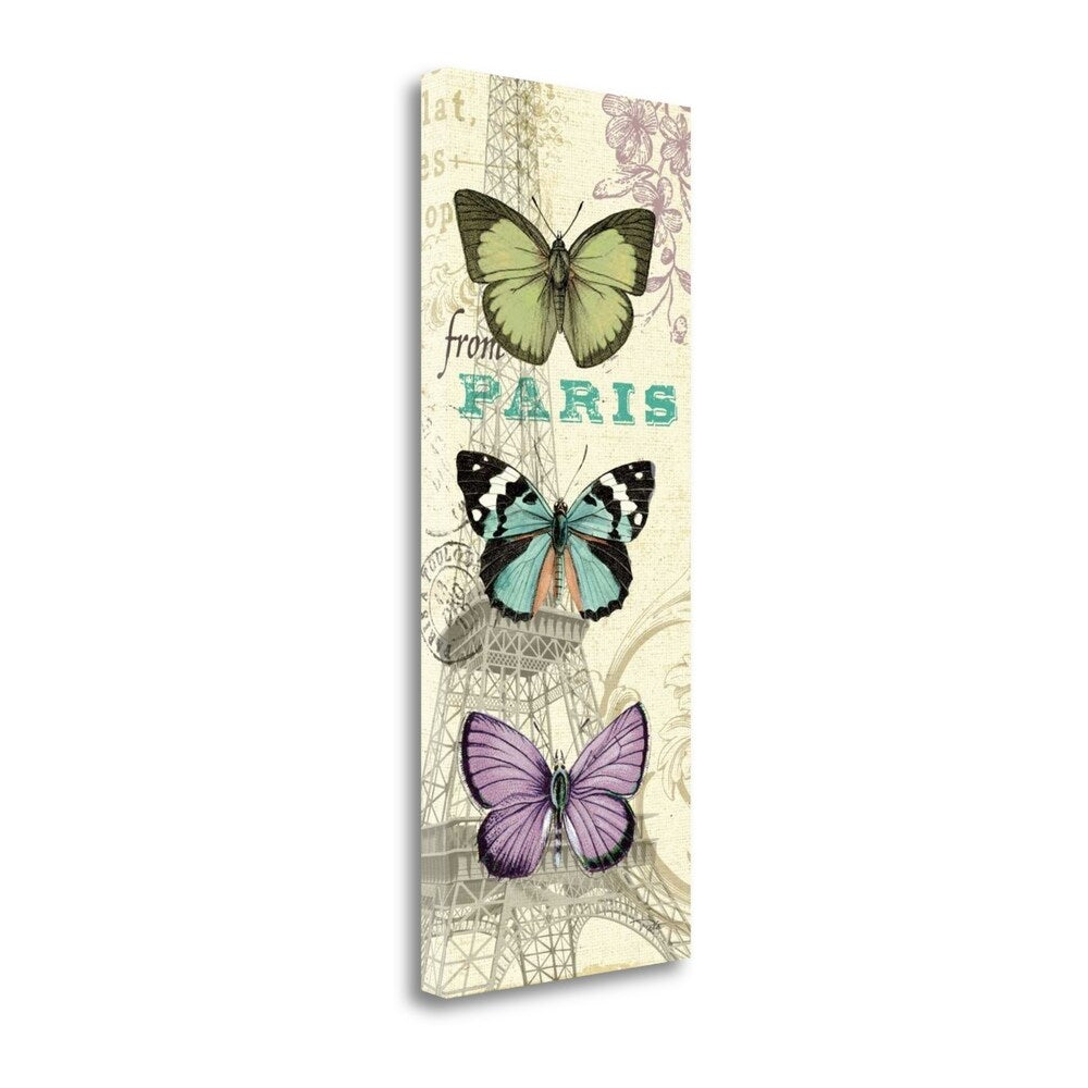 Alain Pelletier Air Mail Butterfly Panel Giclee Art Print on Gallery Wrap Canvas - Perfect for Home Decor, Office Wall Art & Gift Giving