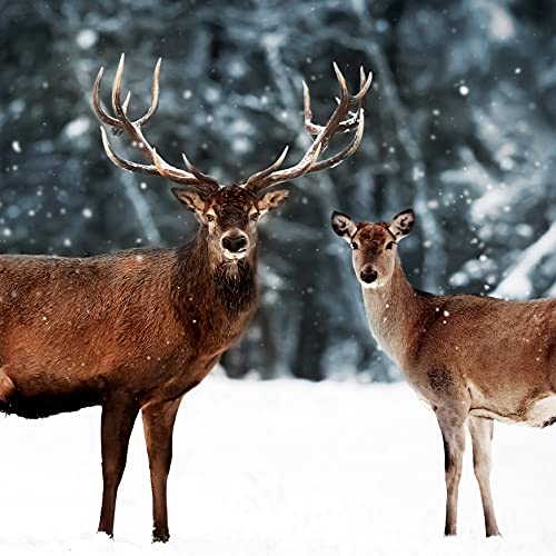 Divine Deer