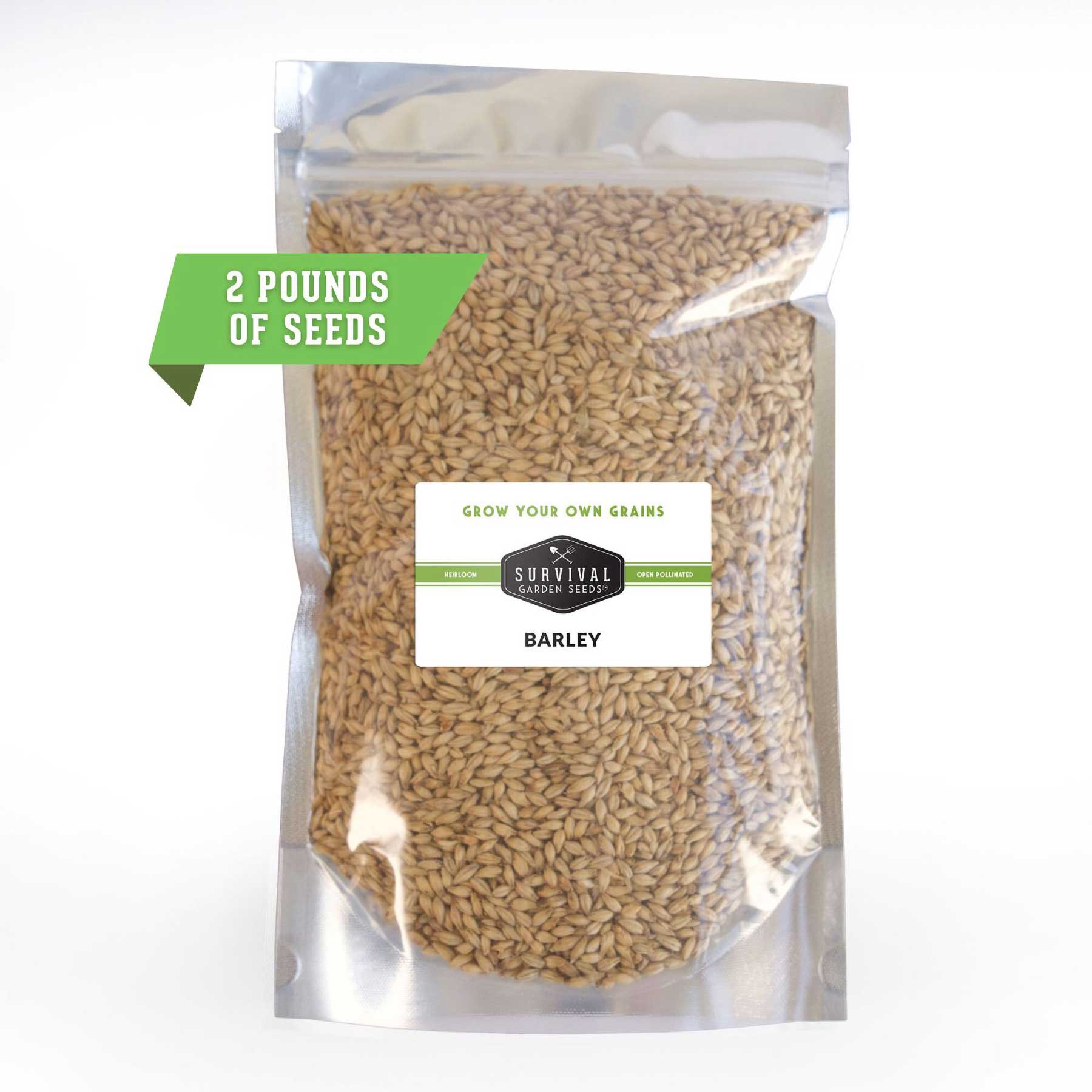 Premium Bulk Barley Seeds for Home Brewing, Gardening & Sprouting – Organic, Non-GMO, High Germination Rate