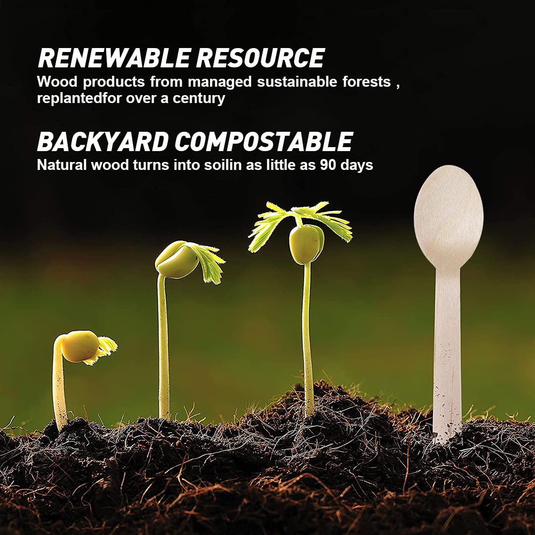 Eco-Friendly Disposable Wooden Cutlery Set - 100 Biodegradable Knives, Forks & Spoons | Plastic-Free Alternative for Picnics, Parties & Outdoor Dining