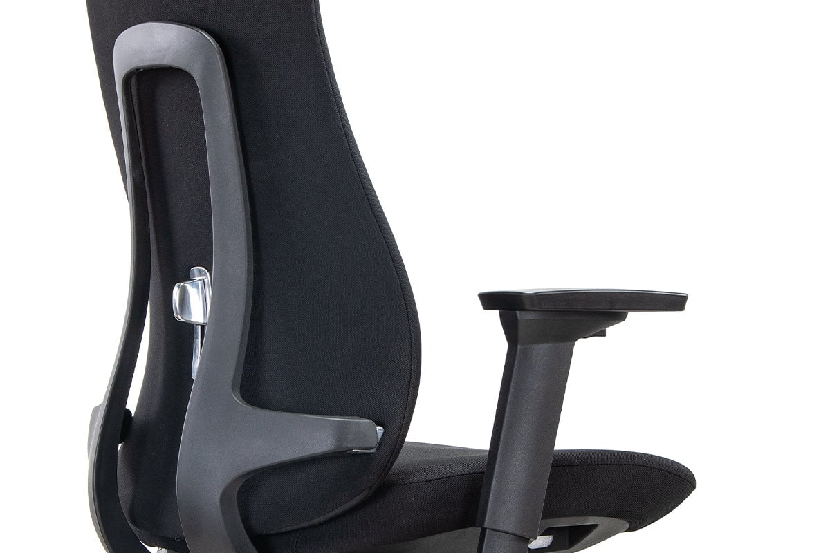 Premium Macaw Executive Fabric Chair - High Back Ergonomic Office Chair for Home & Business - Perfect for Long Hours of Comfortable Work or Study