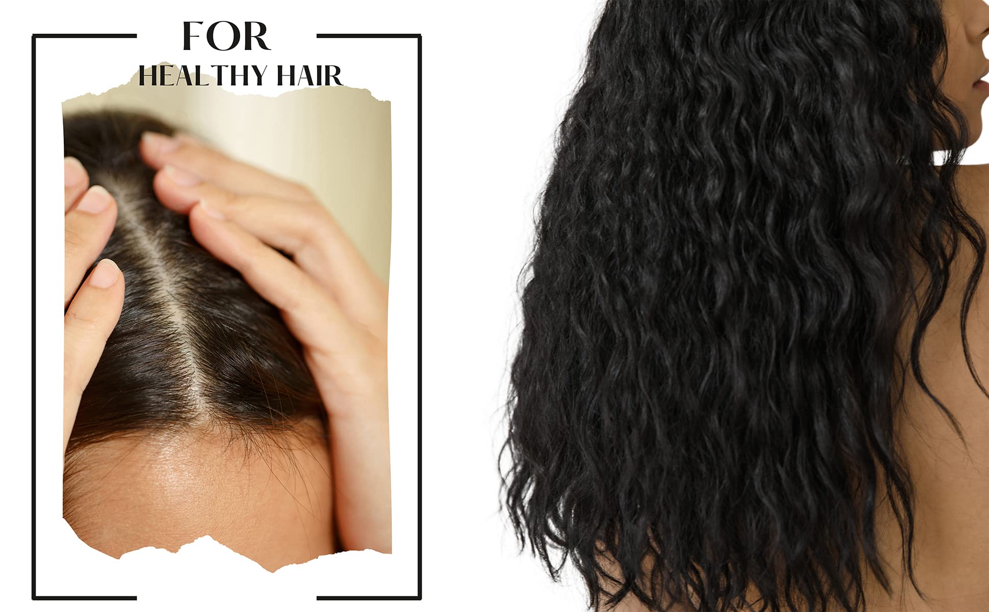 BOTLEAF Bhringraj Leaf Powder 200g - Eclipta Alba for Hair Growth & Loss Prevention | Natural Hair Care Treatment for Stronger, Smoother Hair | Promotes Scalp Health & Shine - Perfect for Daily Hair Cleansing & Ayurvedic Hair Masks