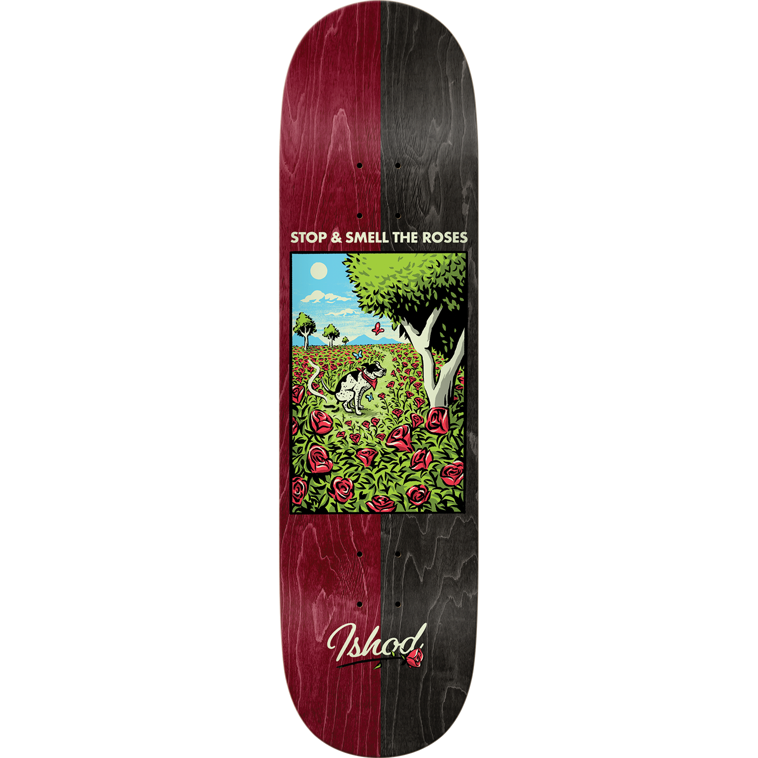 Ishod Brightside True Fit 8.38