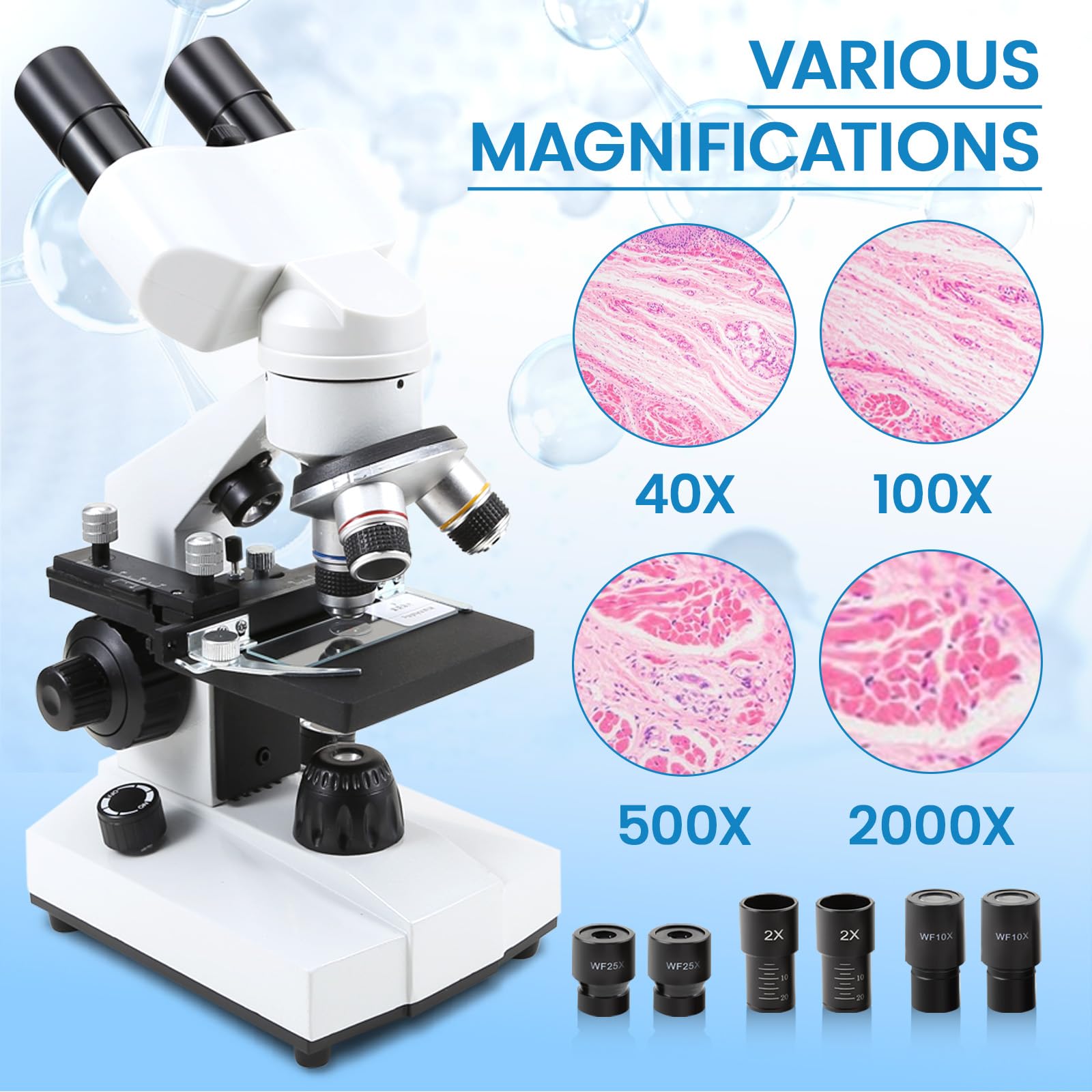 40X-2000X Compound Binocular Microscope with 30 Prepared Slides - Ideal for Kids, Students & Adults | Perfect for School Labs, Home Science Experiments & Biological Research | Includes Microscope Accessories & Wire Camera Shutter (Model CX1012)