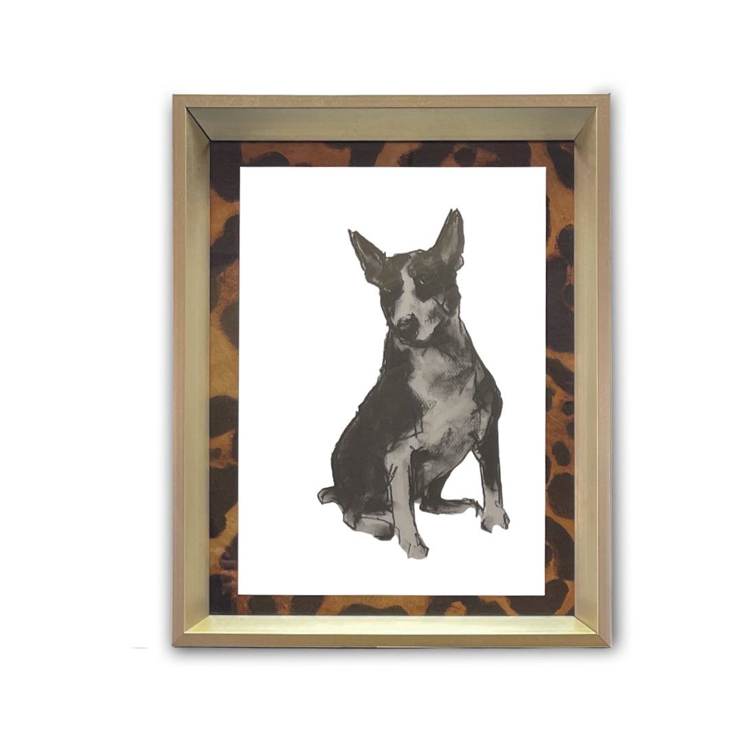 Modern Dog II - Stylish and Comfortable Pet Apparel for Small to Medium Dogs | Perfect for Walks, Outdoor Adventures & Photo Shoots