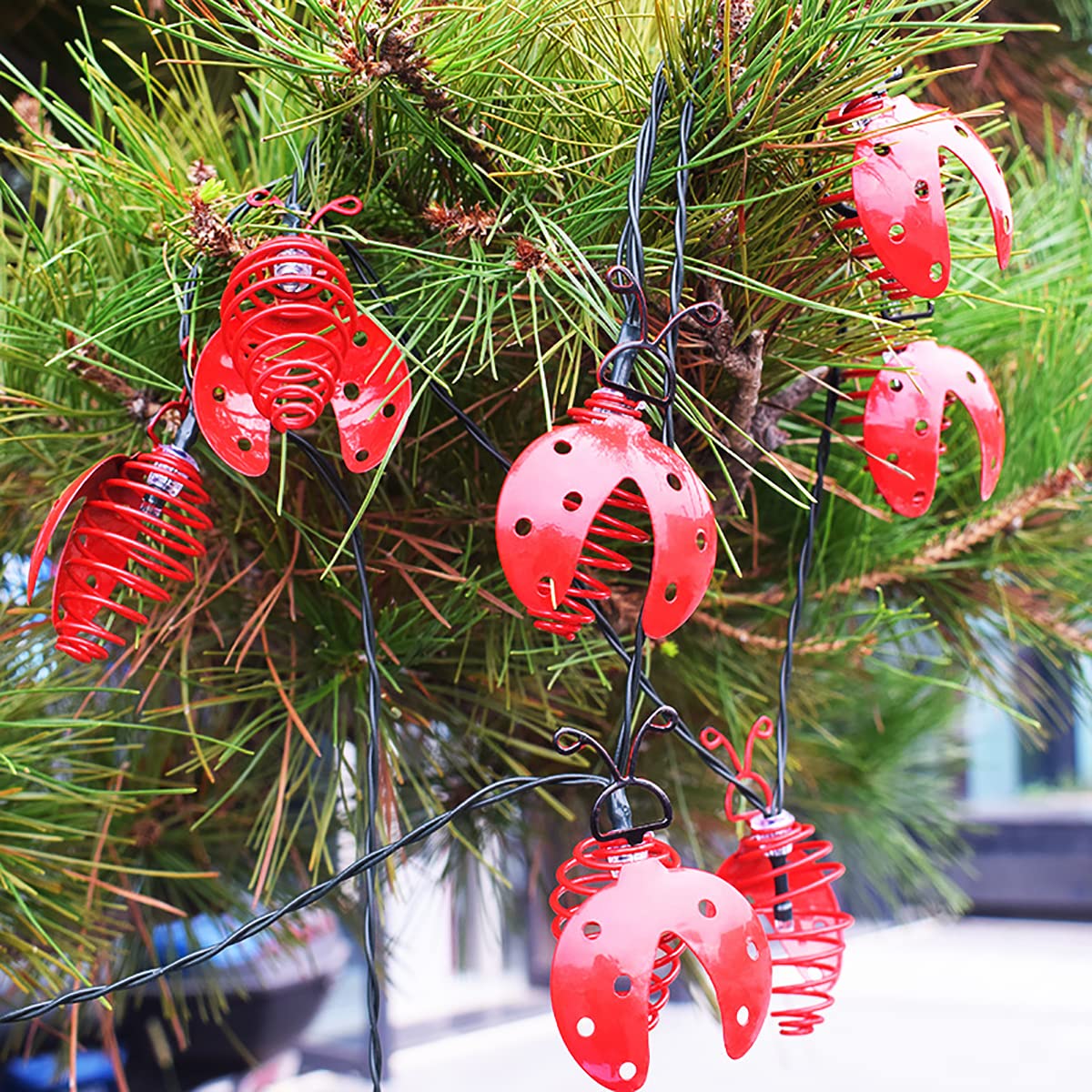 Solar Powered Ladybug String Lights - 10 LED Waterproof 13ft Outdoor Fairy Lights for Garden, Patio, Lawn, Yard, Wedding & Christmas Decorations (Warm White) | Perfect for Backyard Parties, Landscape Lighting and Holiday Displays