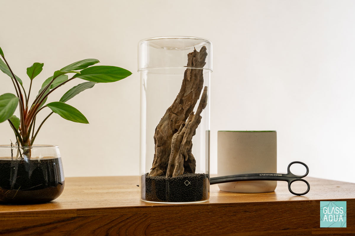 DIY Miniature Terrarium Kit for Home Decor - Complete Glass Garden Set with Plants & Accessories | Perfect for Office Desk, Living Room Centerpiece & Gift Ideas
