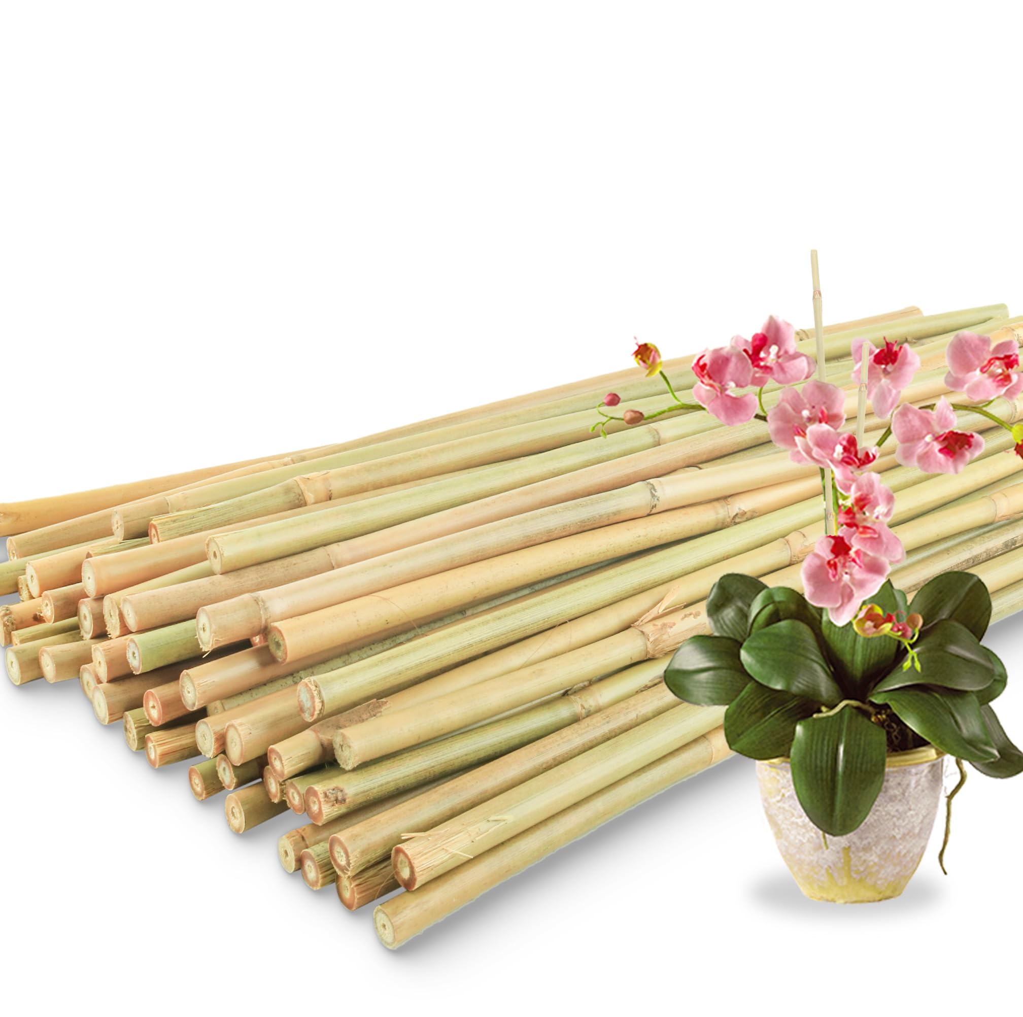 50Pcs 18 Inch Bamboo Stakes for Plants - Natural Garden Support Sticks for Tomatoes, Vegetables, Beans & Climbing Plants (0.32