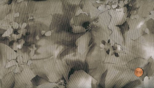 RJR Yuko Hasegawa 'Misty Light' Grey Cotton Blender Fabric by the Yard - Perfect for Quilting, Apparel & Home Decor Projects