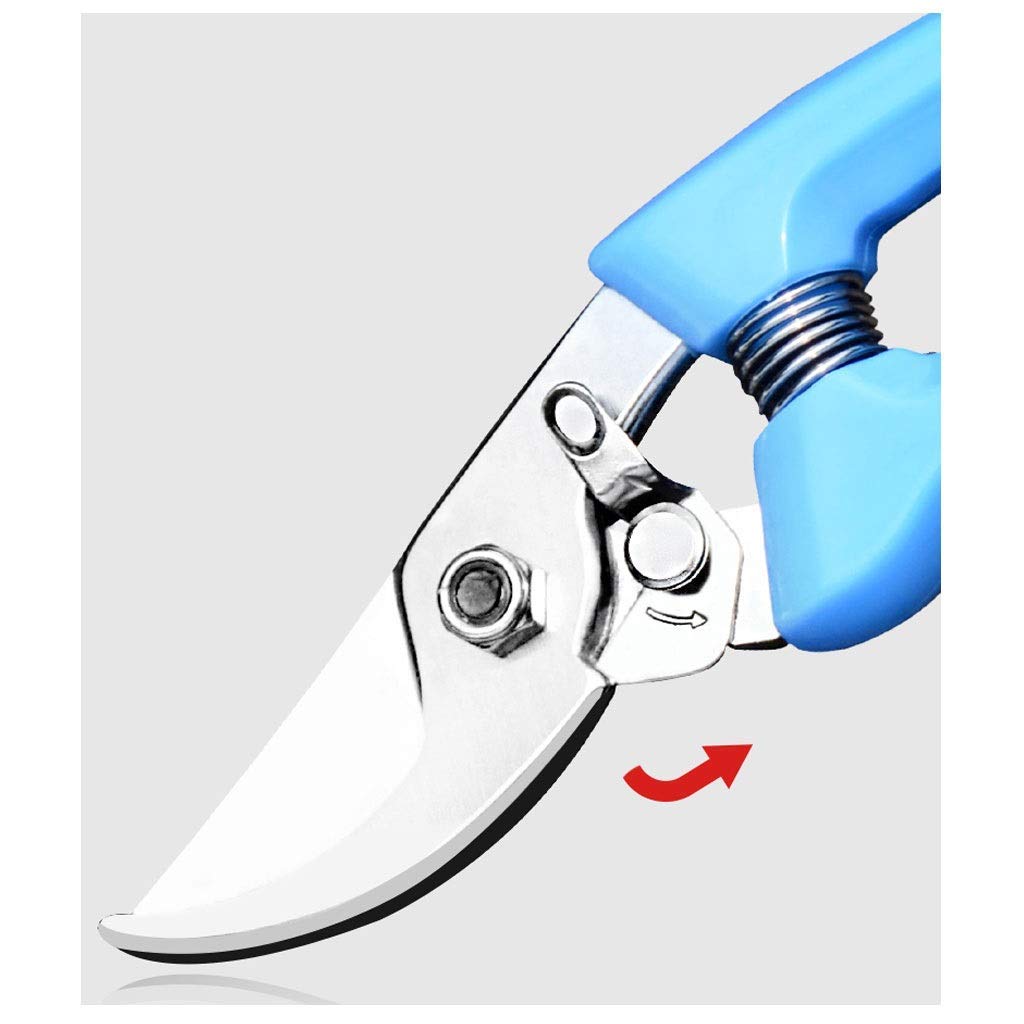 Premium Stainless Steel Bypass Pruning Shears - Sharp Garden Shears for Plants, Flowers & Shrubs - Ergonomic Non-Slip Handles - Ideal for Gardening, Landscaping & Outdoor Trimming