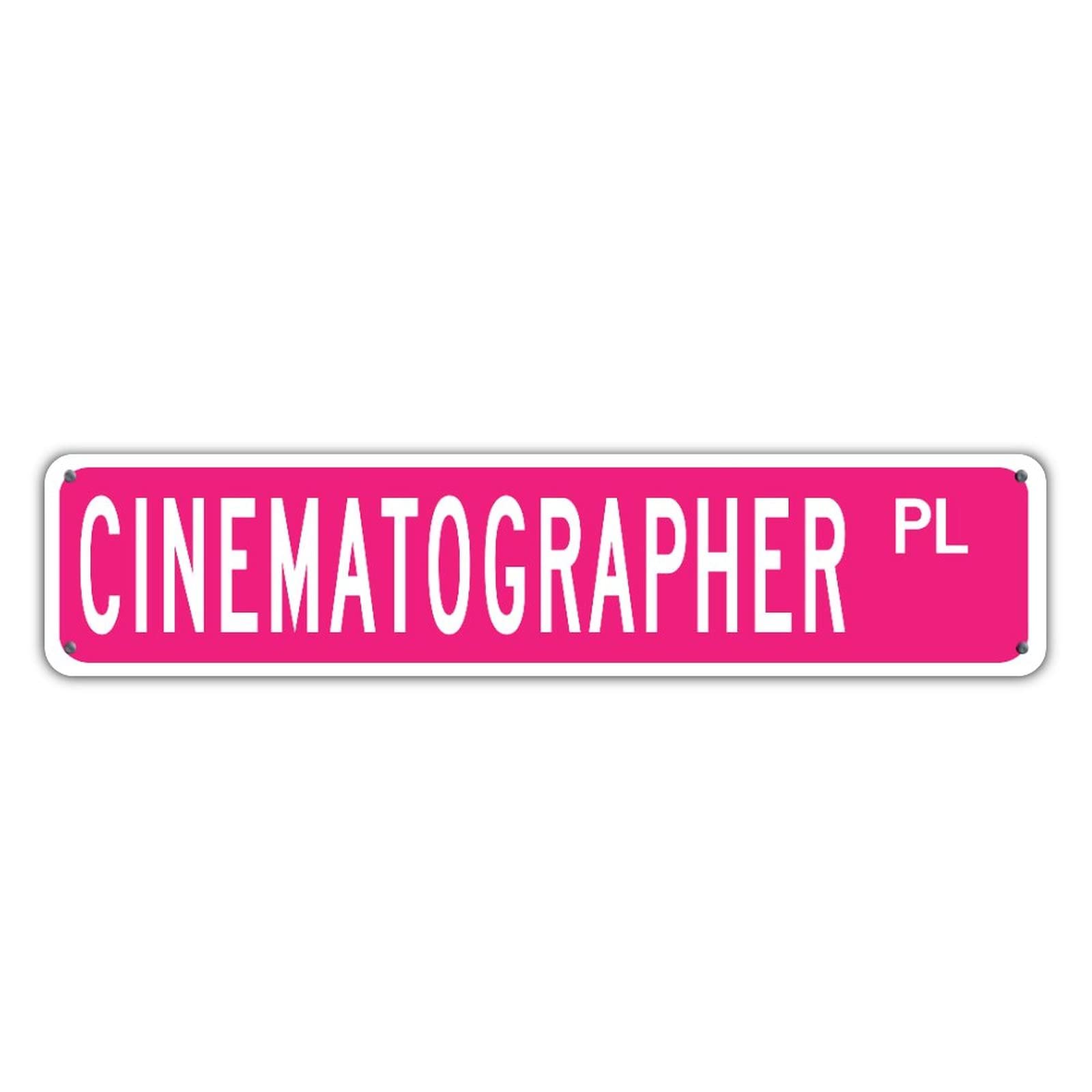 Professional PL Oil Paint Pure Pink Career Office Sign - Personalized Street Style UV Printed Aluminum Wall Decor for Garage, Office & Restaurants - Fade Resistant Indoor/Outdoor Housewarming Gift (4x18 Inches) - Perfect for Business Branding, Home Decor & Commercial Spaces