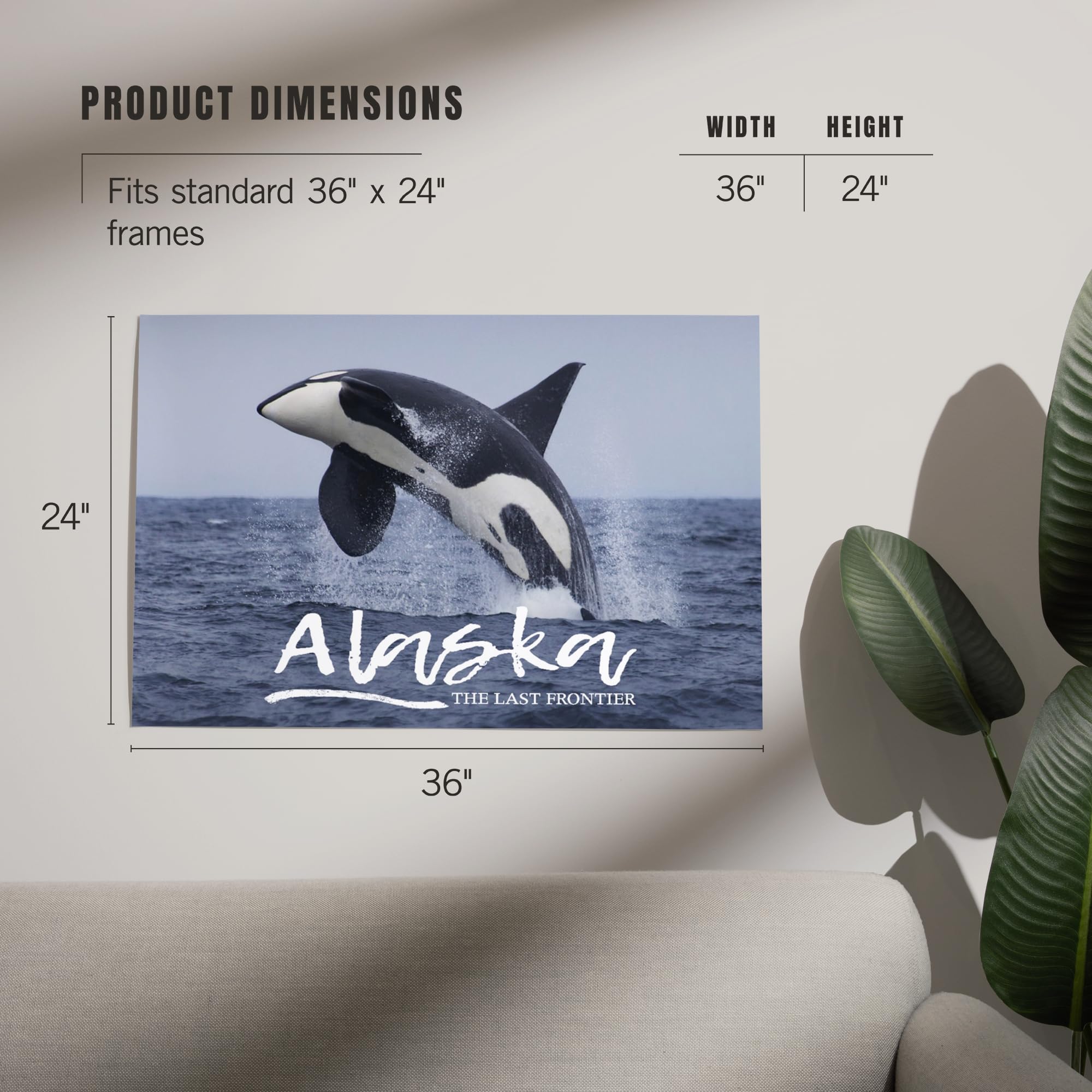 Lantern Press 24x36 Inch Giclee Art Print - Alaska Orca Whale Jumping Wall Decor - Premium Canvas Painting for Living Room, Bedroom & Office