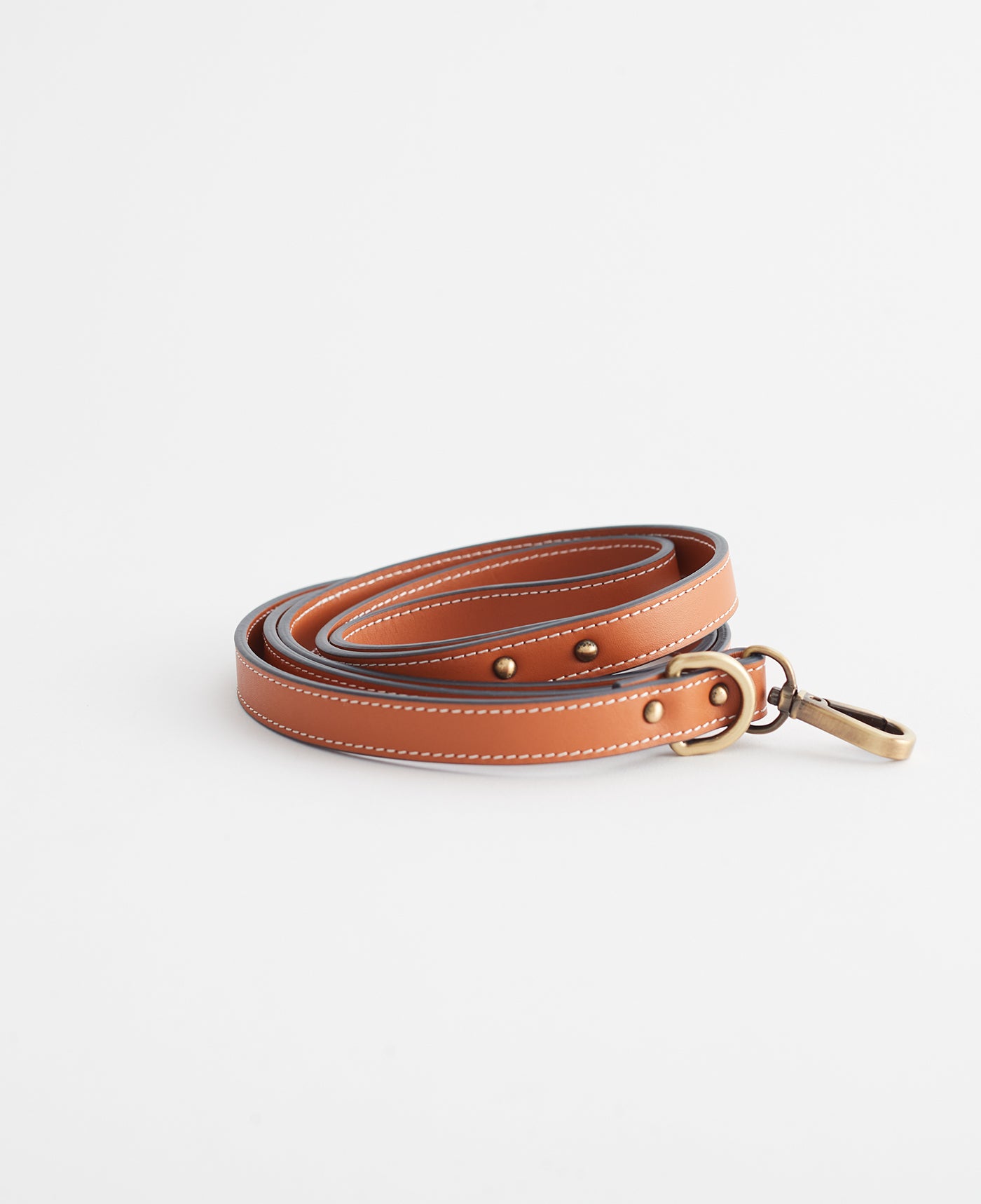 Premium Small Tan Dog Lead - Durable & Adjustable for Small Dogs - Perfect for Walking, Training & Outdoor Adventures