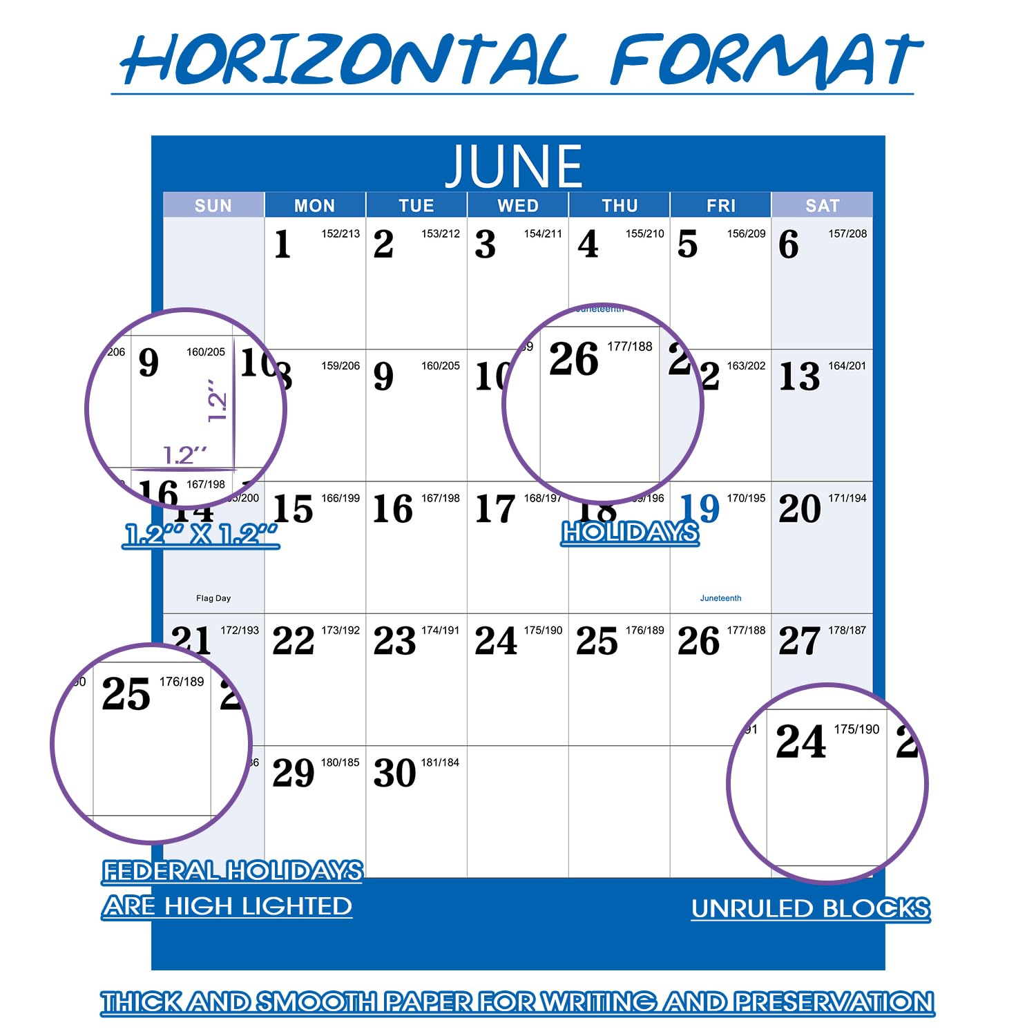 2025-2026 Large Wall Calendar (34.8