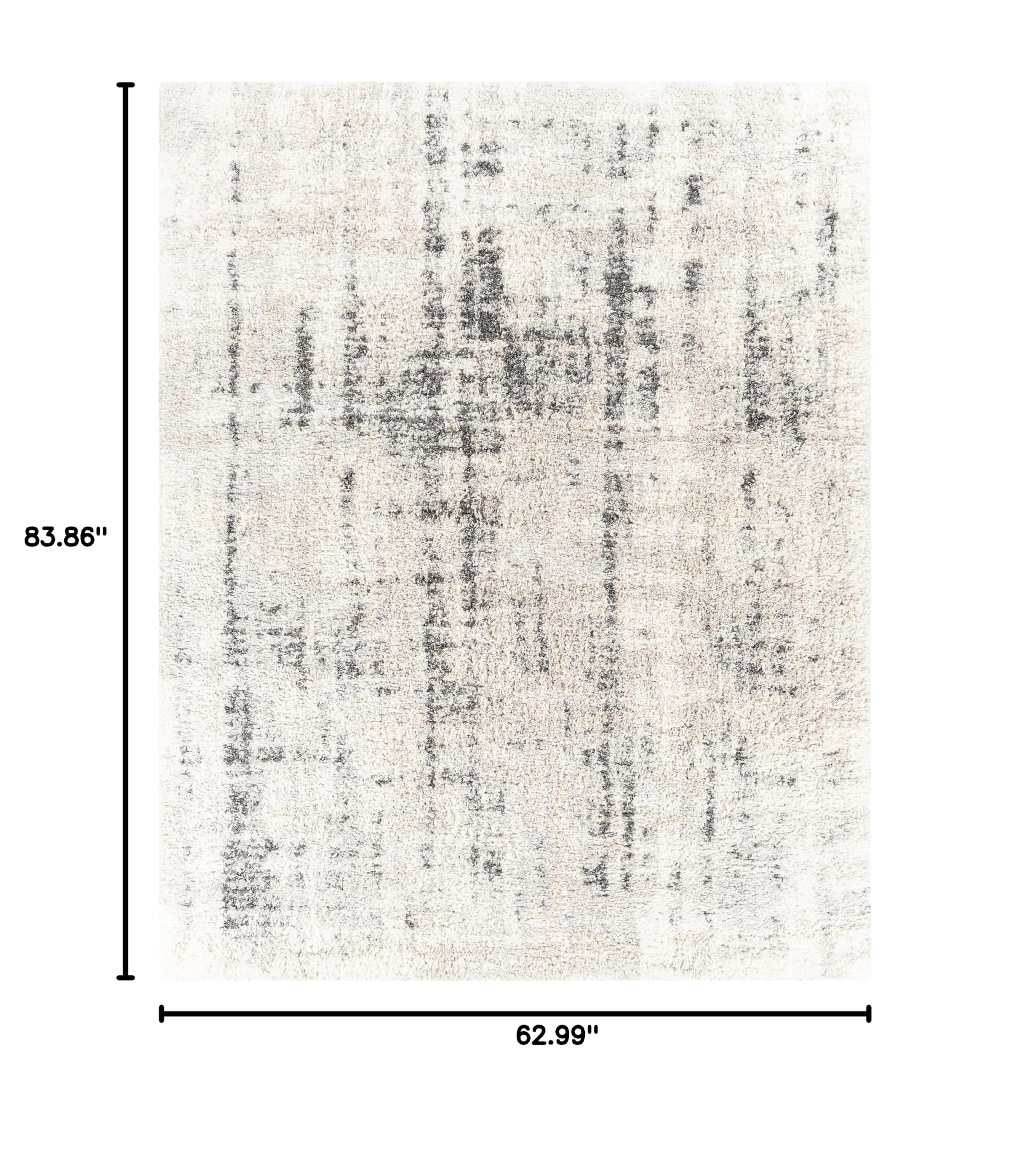 Modern Plush Pile Hauteloom Campion Area Rug for Living Room & Bedroom - Soft Beige & Black - 5'3