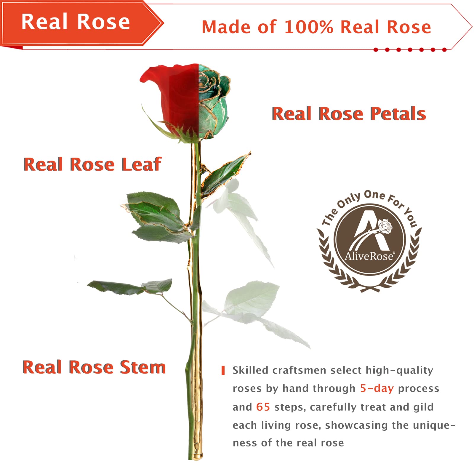 24K Gold Dipped Real Rose in Crystal Vase - Luxury Eternal Rose Gift for Valentine's Day, Anniversary, Mother's Day & Birthday - Perfect Romantic Gift for Her, Wedding Decoration & Home Décor