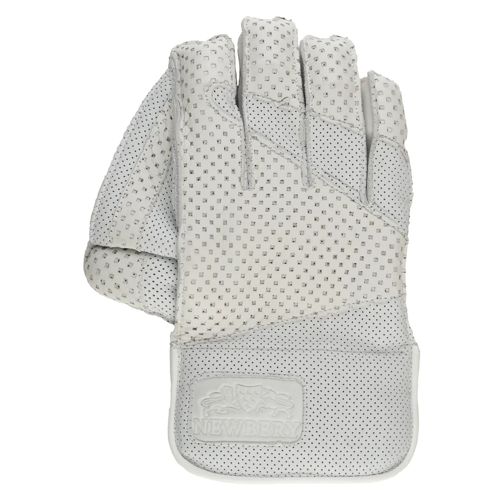Premium Newbery SPS Cricket Wicket Keeping Gloves - Professional Quality for Wicket Keepers - Perfect for Matches, Training & Practice Sessions