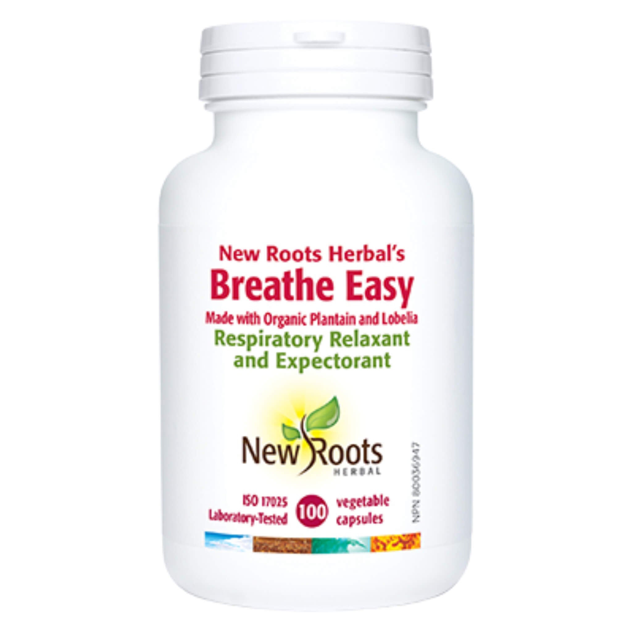 Breathe Easy - Natural Air Purifying Plants for Home & Office | Improve Indoor Air Quality with NASA-Approved Plants | Perfect for Bedrooms, Living Rooms & Workspaces