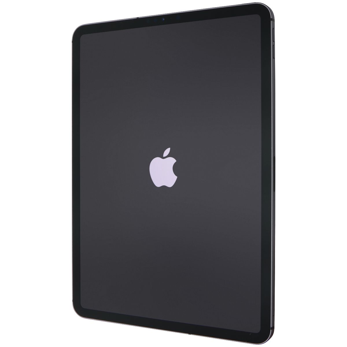 Apple iPad Pro 11-inch (2nd Gen) 256GB Unlocked WiFi Tablet - Space Gray | A2230 Model | Perfect for Work, Study & Creative Projects
