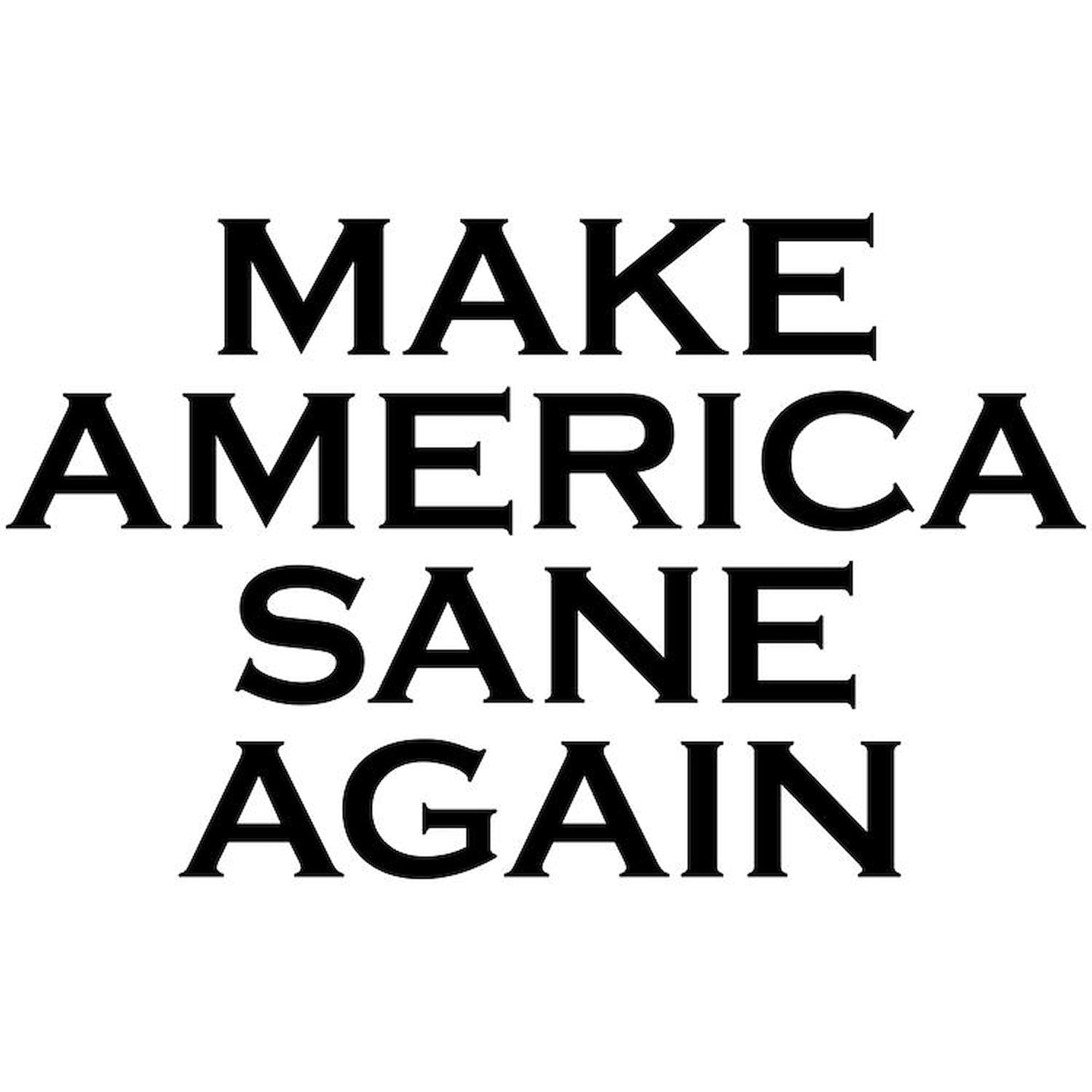 Make America Sane Again Euro Oval Car Bumper Magnet - Funny Political Sticker for Cars, Trucks & Metal Surfaces - Perfect for Campaigns, Protests & Political Humor