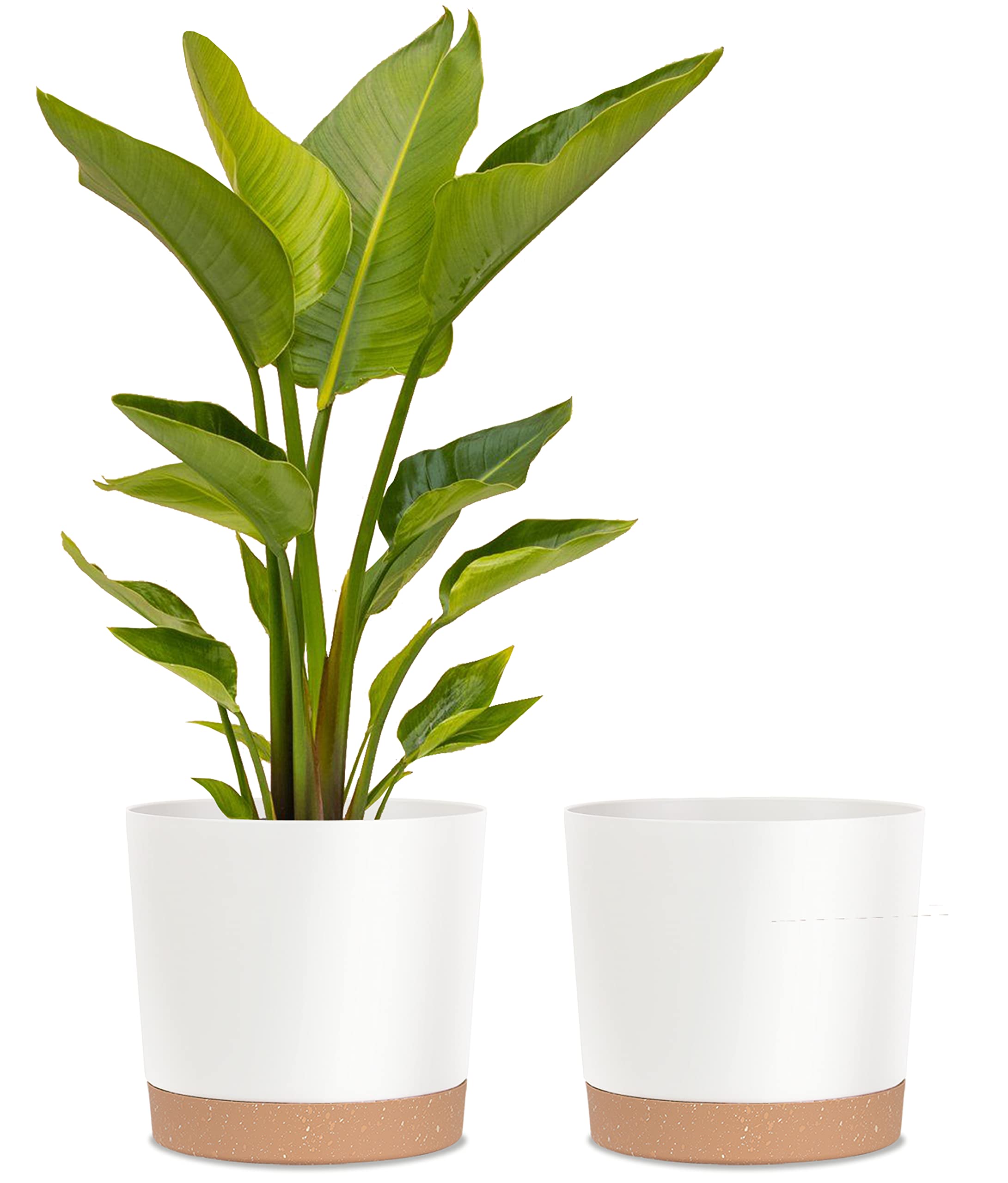 Kubvici 12 Inch White Plastic Plant Pots - 2 Pack Lightweight Large Indoor Outdoor Flower Planters with Drainage Holes for Houseplants, Succulents, Herbs - Perfect for Home Decor, Garden, Balcony & Patio