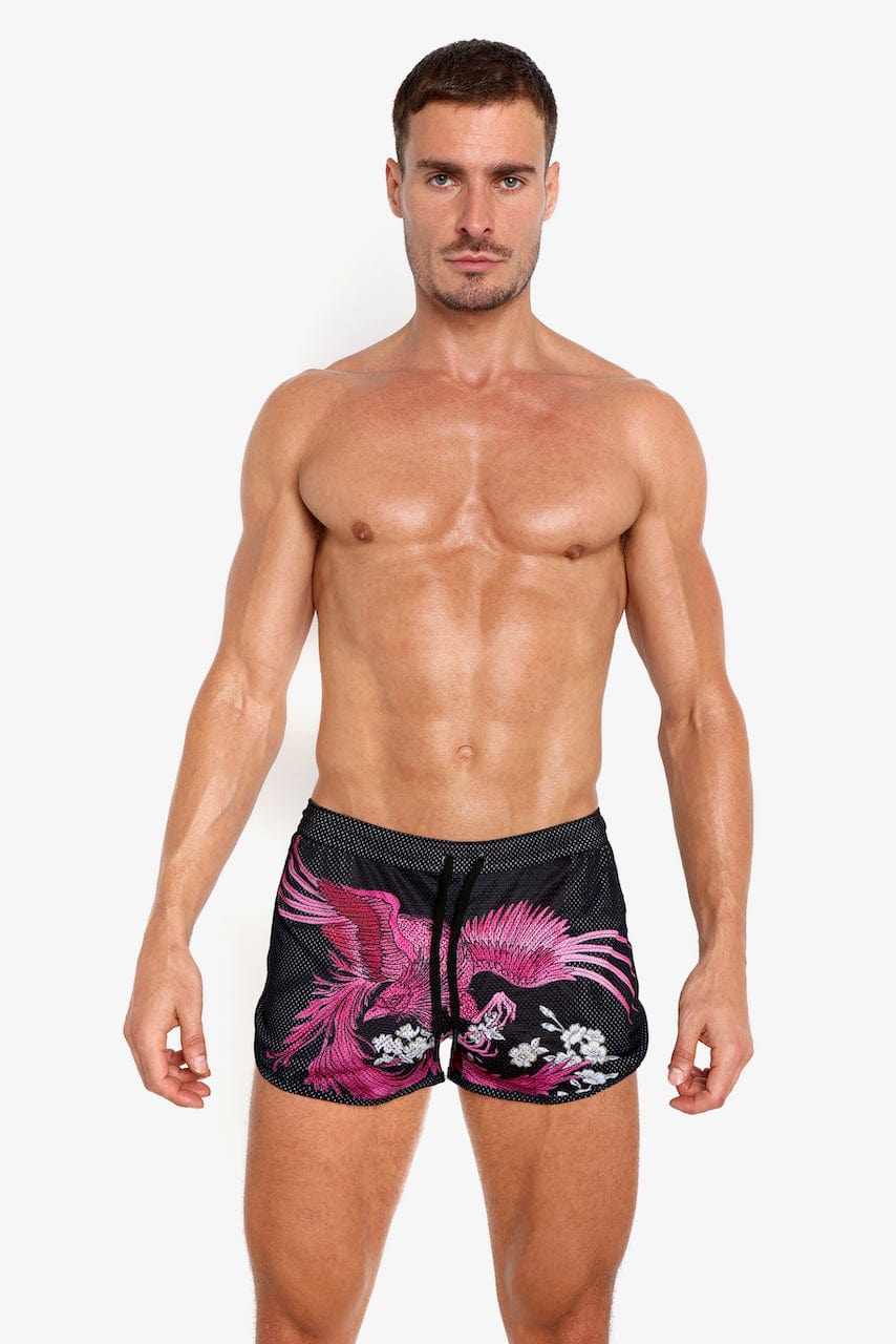 Phoenix Men's Breathable Mesh Running Shorts - Lightweight Quick-Dry Athletic Shorts for Gym, Workout & Outdoor Sports