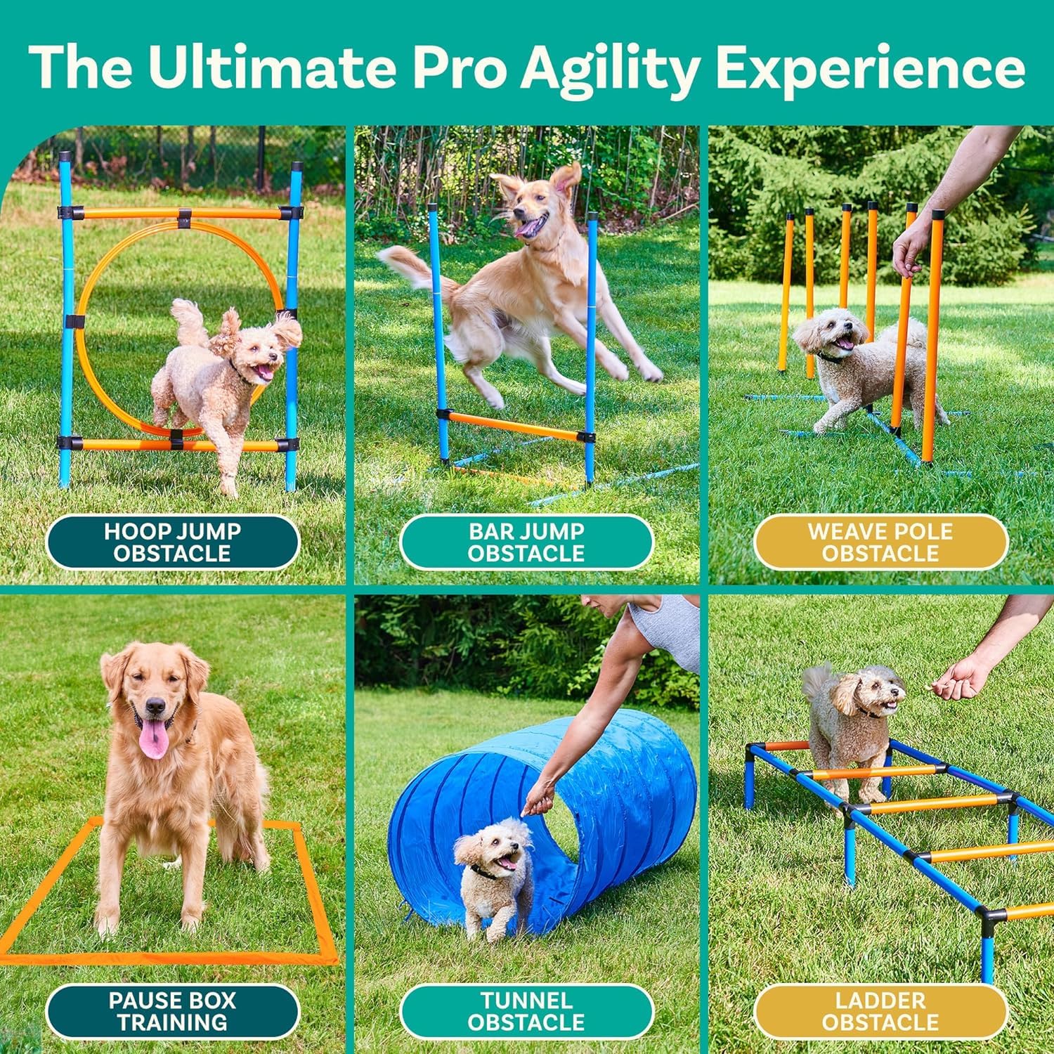Dog Agility Training Set - Backyard Obstacle Course for Dogs | Outdoor Exercise Equipment