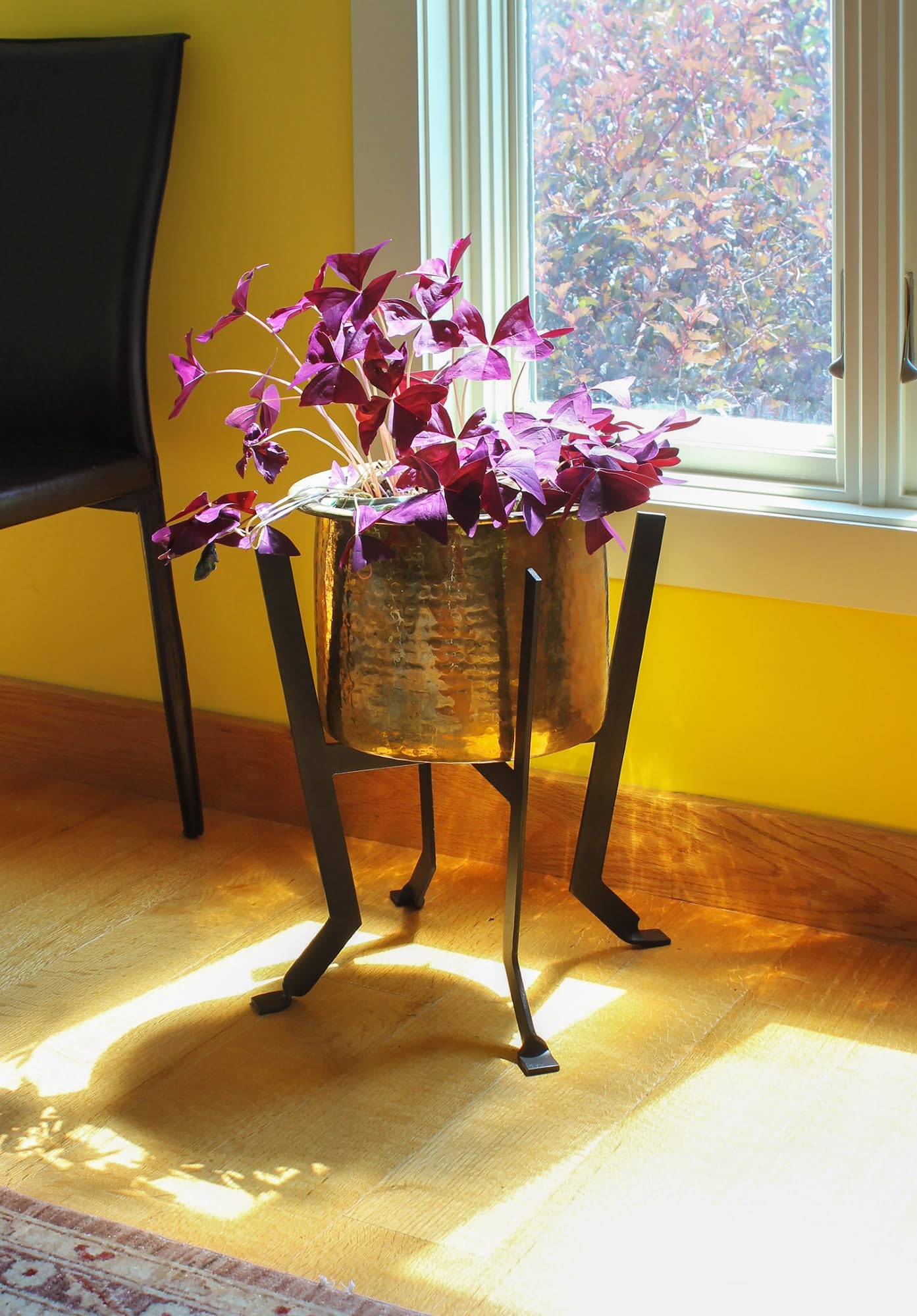 Achla Designs FB-60 Denise III Black Metal Plant Stand - Indoor/Outdoor Flower Pot Holder for Home Garden Decor