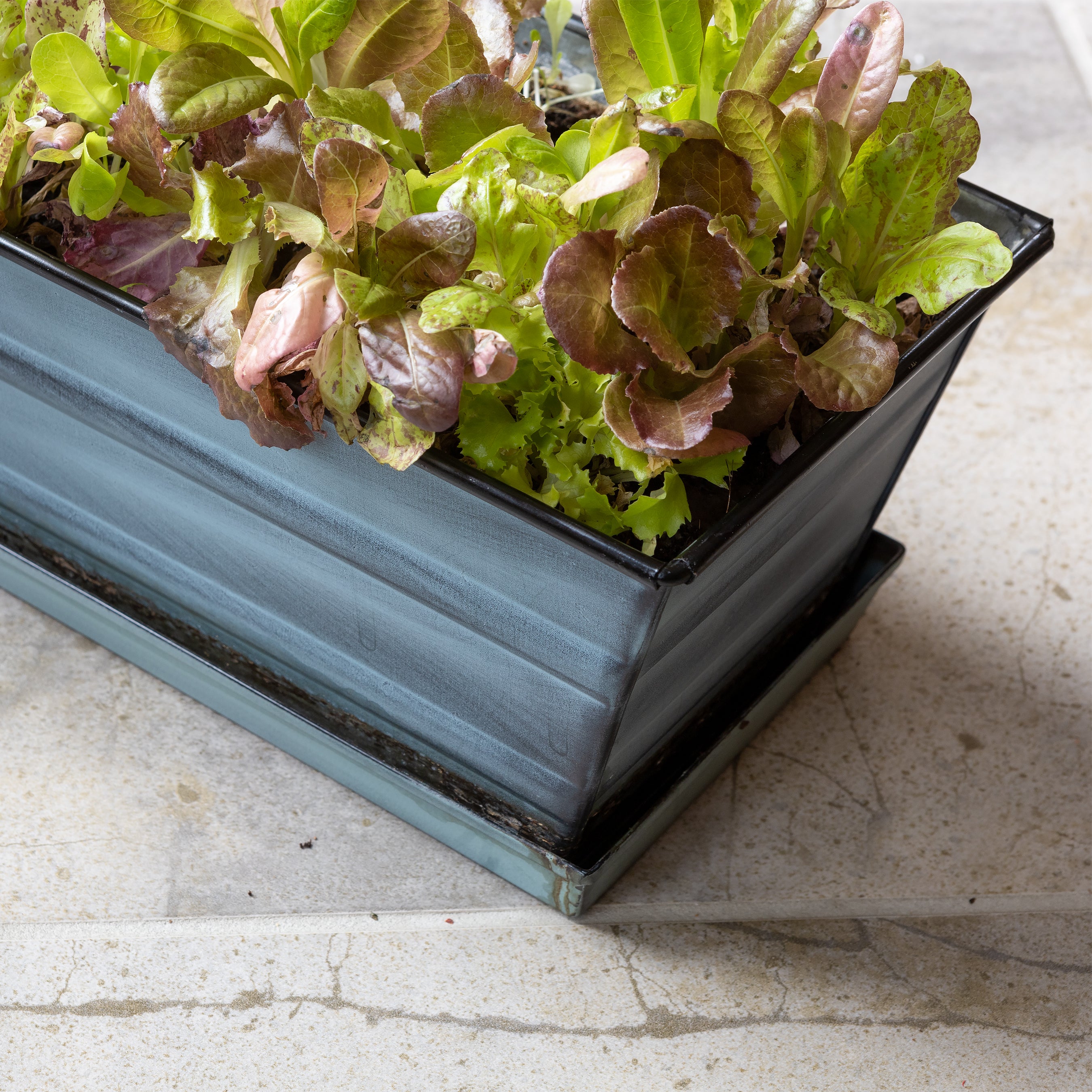 Achla Designs Flower Box Tray - Decorative Wooden Planter Box for Indoor Plants, Succulents & Home Décor | Perfect for Windowsills, Tabletops & Garden Displays