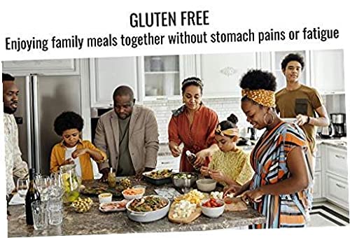 Sugar Free Salad Dressing 4-Pack Bundle - Honey Dijon, Sweet, Raspberry & Balsamic Flavors | Keto-Friendly, Low Carb Condiments for Healthy Salads, Meal Prep & Weight Loss Diets