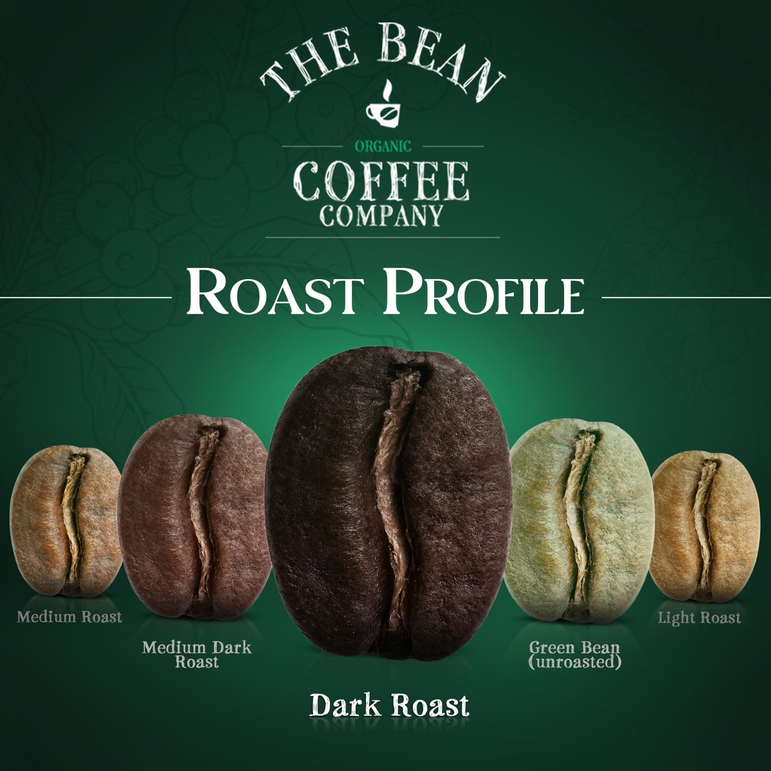 Organic Dark Roast Whole Bean Coffee - The Bean Coffee Company Christmas Blend (5 lb Bag) | Premium Holiday Coffee for Gifting, Family Gatherings & Cozy Winter Mornings