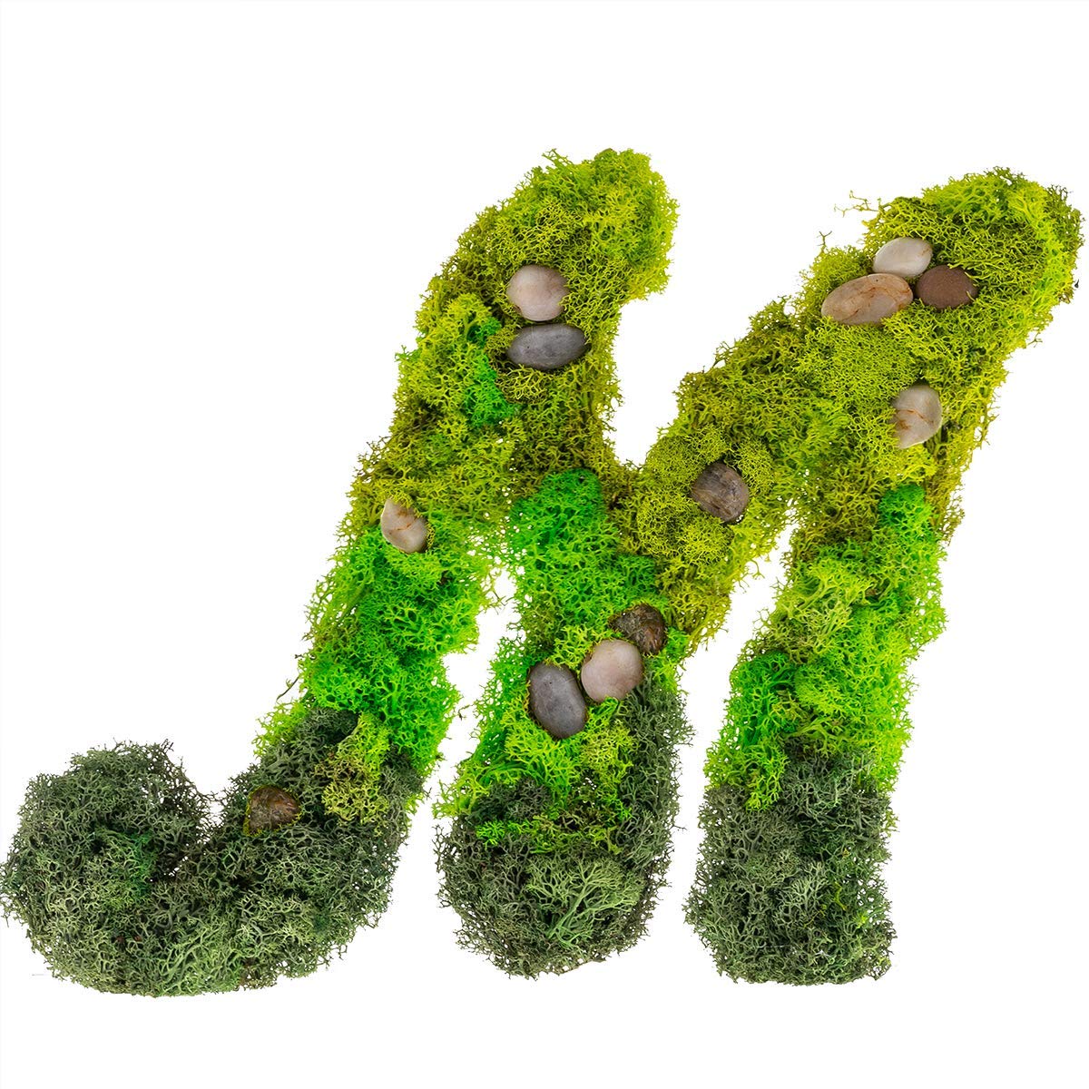 Custom Preserved Moss Monogram Initial Wall Art - Personalized Home Decor for Living Room, Bedroom & Office | Eco-Friendly Greenery Letter Design