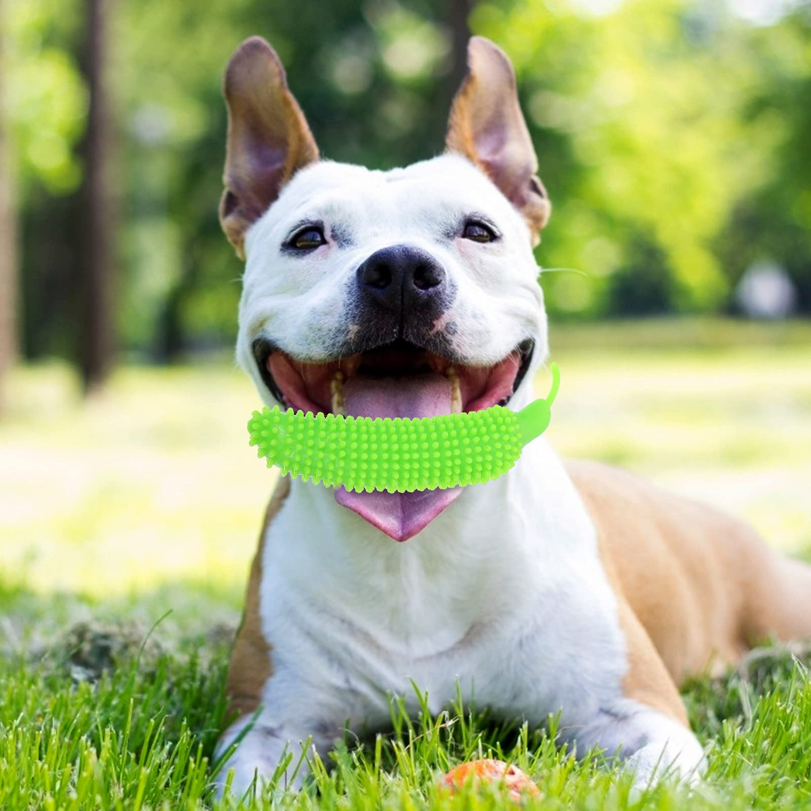 2Pcs Dog Teething Toys for Puppies - Funny Pet Chew Toys for Anxiety Relief & Dental Cleaning - Durable Puppy Supplies for Small & Medium Dogs - Perfect for Training, Playtime & Stress Relief